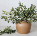 Olivo- 53 cm