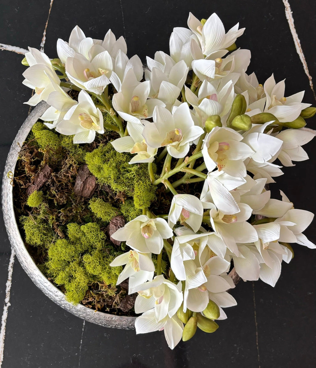 Orquidea Cymbidium Premium Blanca - 48 cm