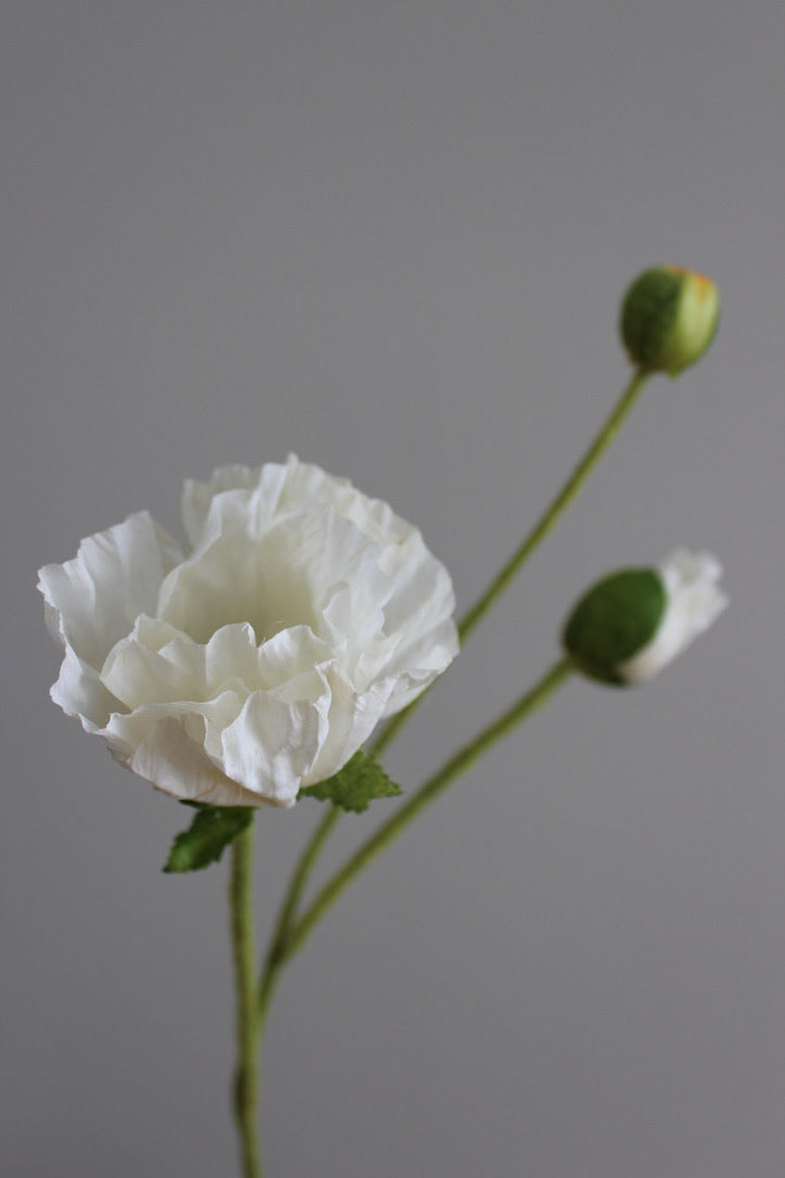 Poppy Blanca - 57 cm