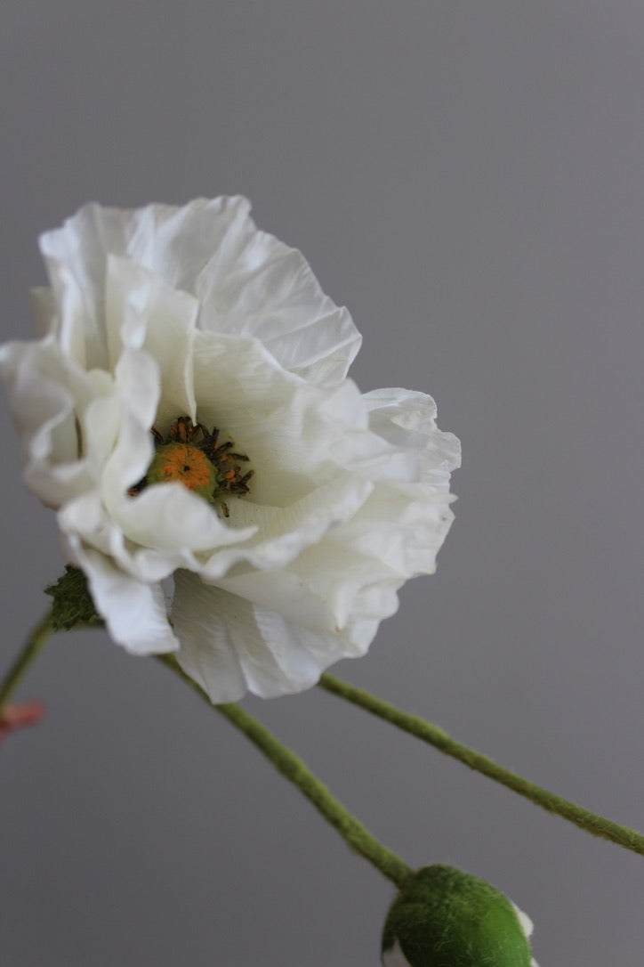 Poppy Blanca - 57 cm
