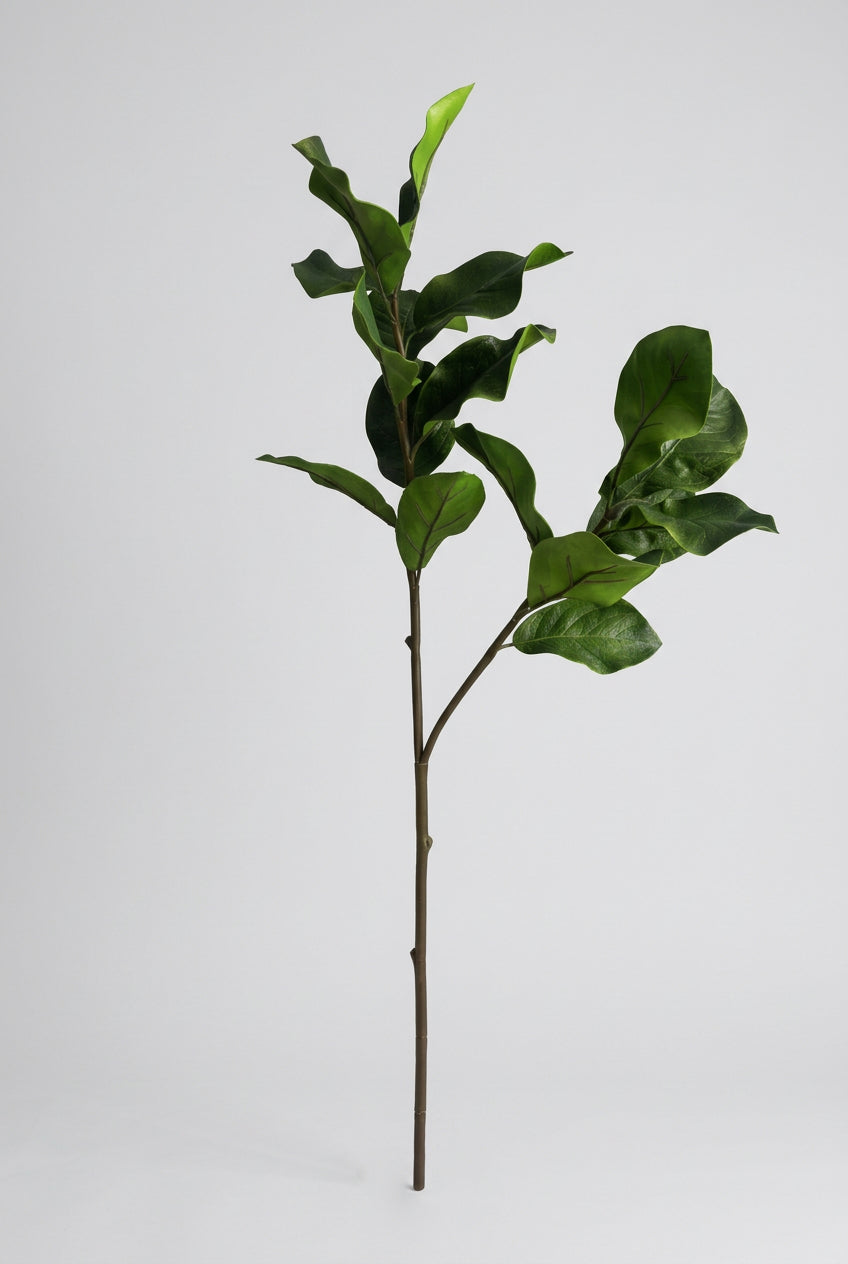 Ceiba branch - 94 cm