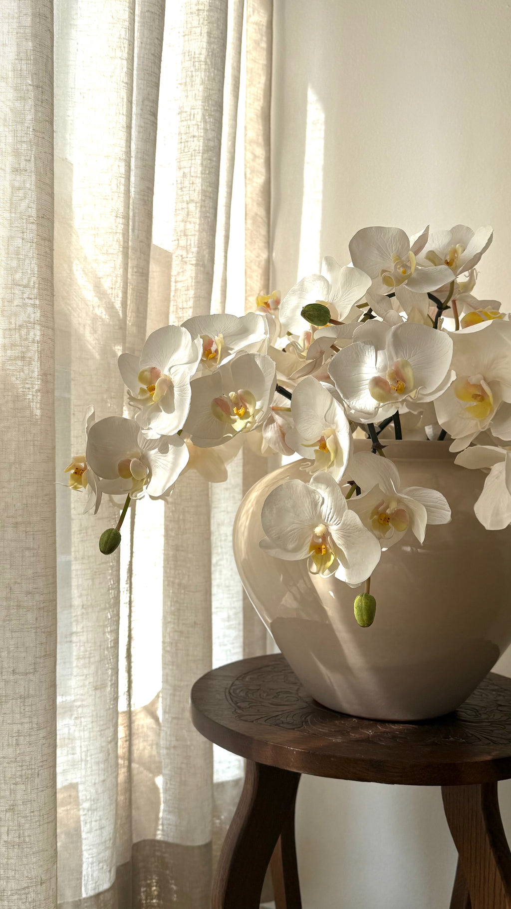 Orquidea Phalaenopsis Premium con Botón Blanca - 85 cm