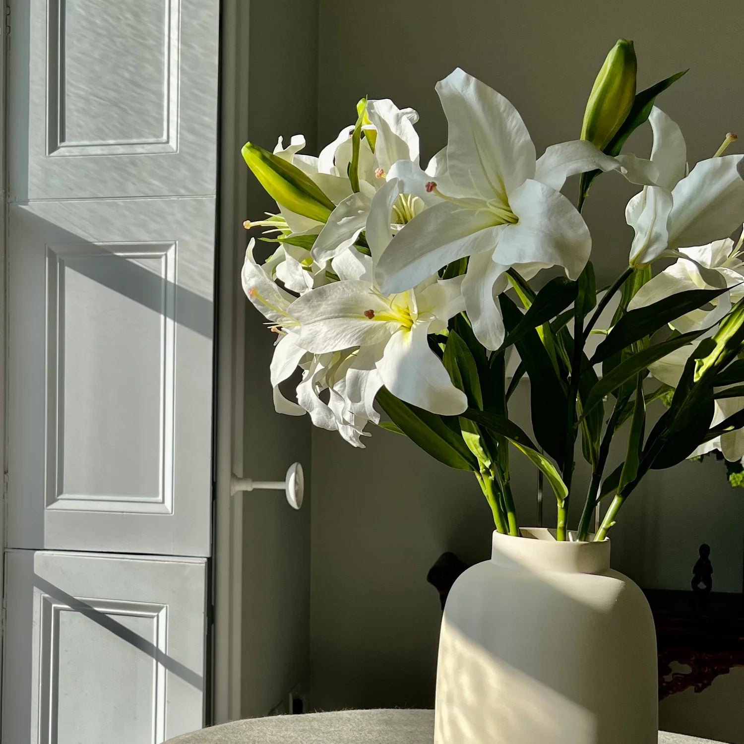 Casa Blanca Premium Doble Flor - 100 cm