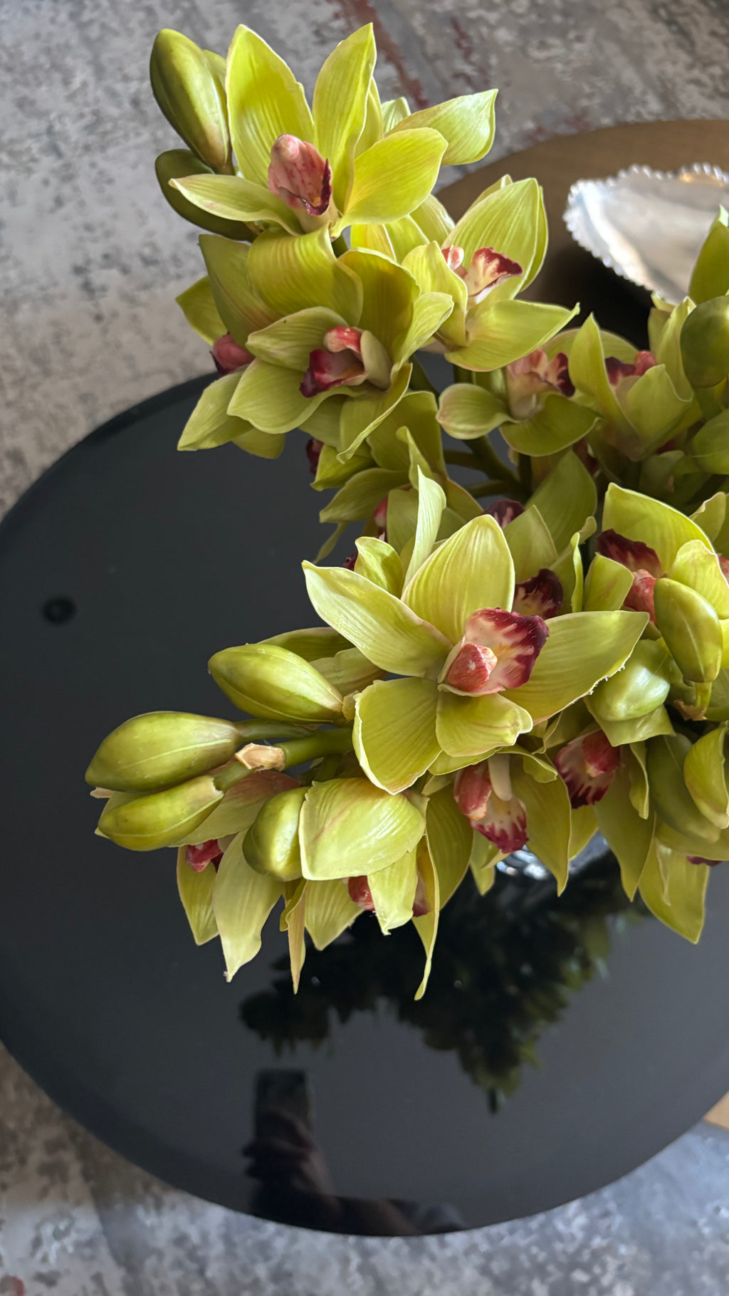 Orquidea Cymbidium Premium Verde - 48 cm