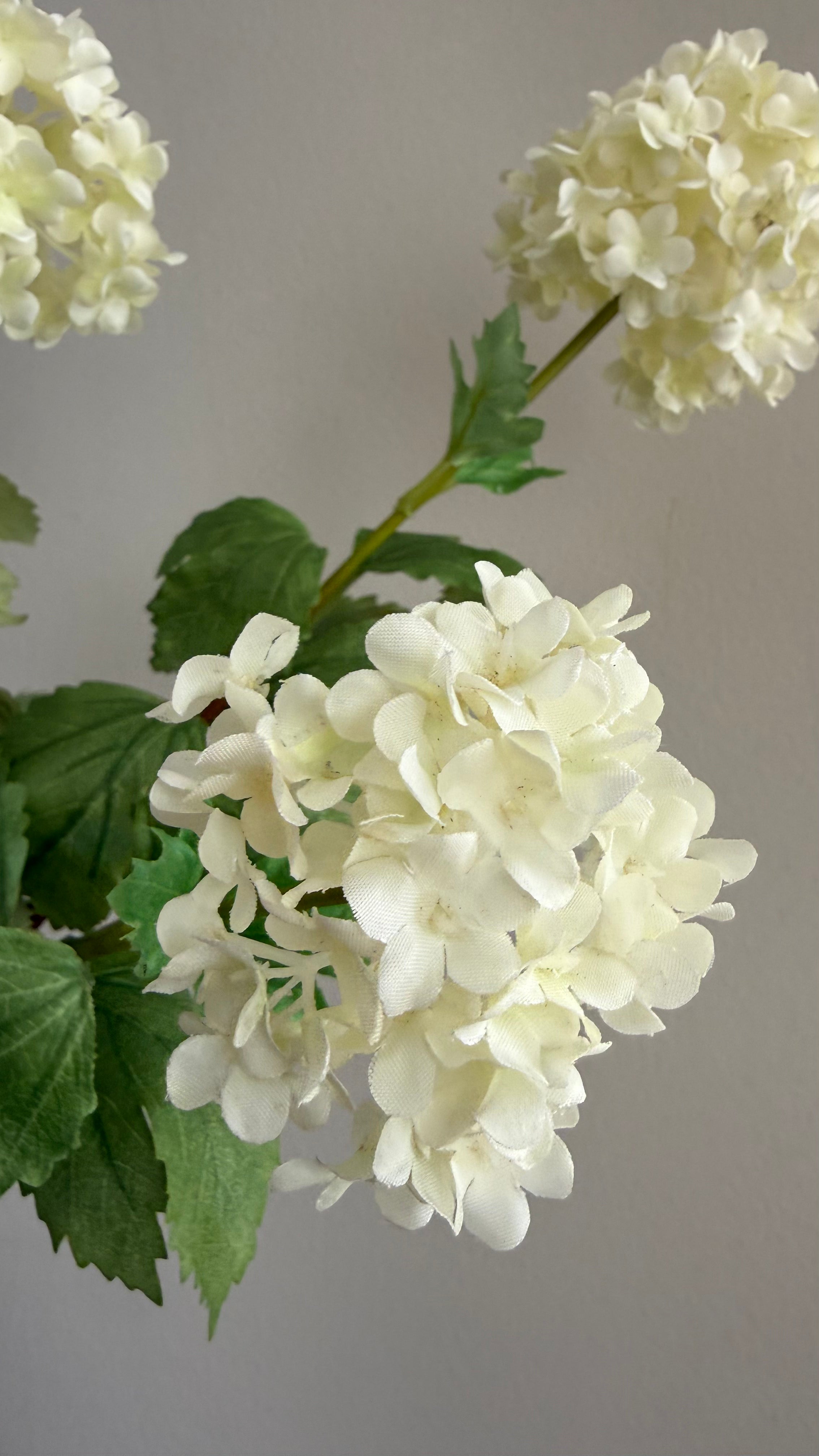 Snowball blanco - 70cm