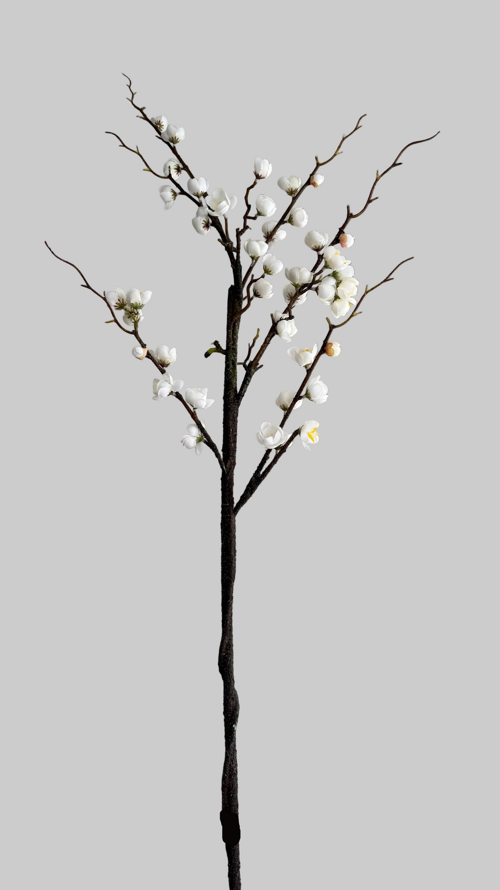 Plum blossom -120cm