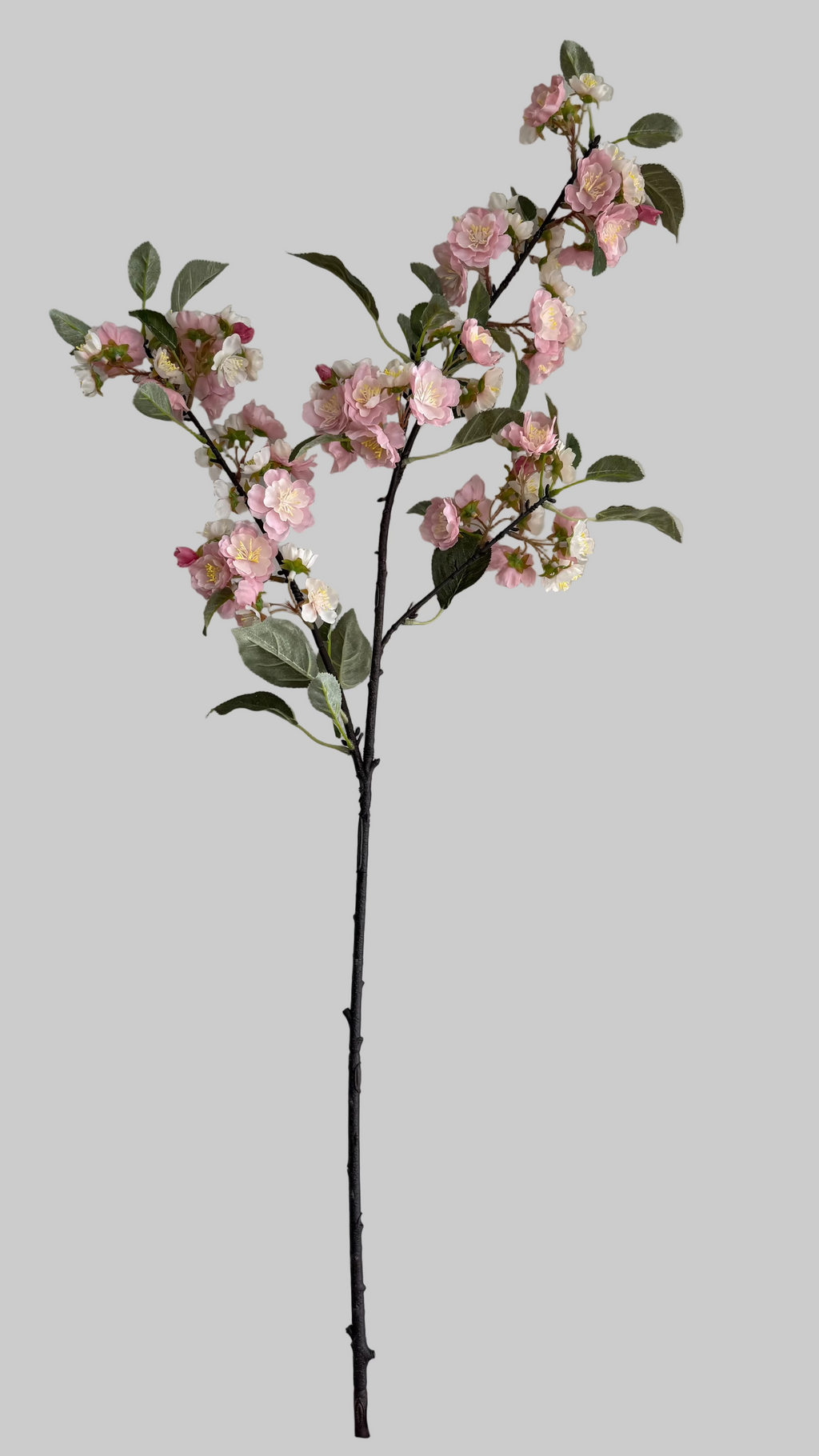 Yoshina Cherry Blossom rosa -105cm