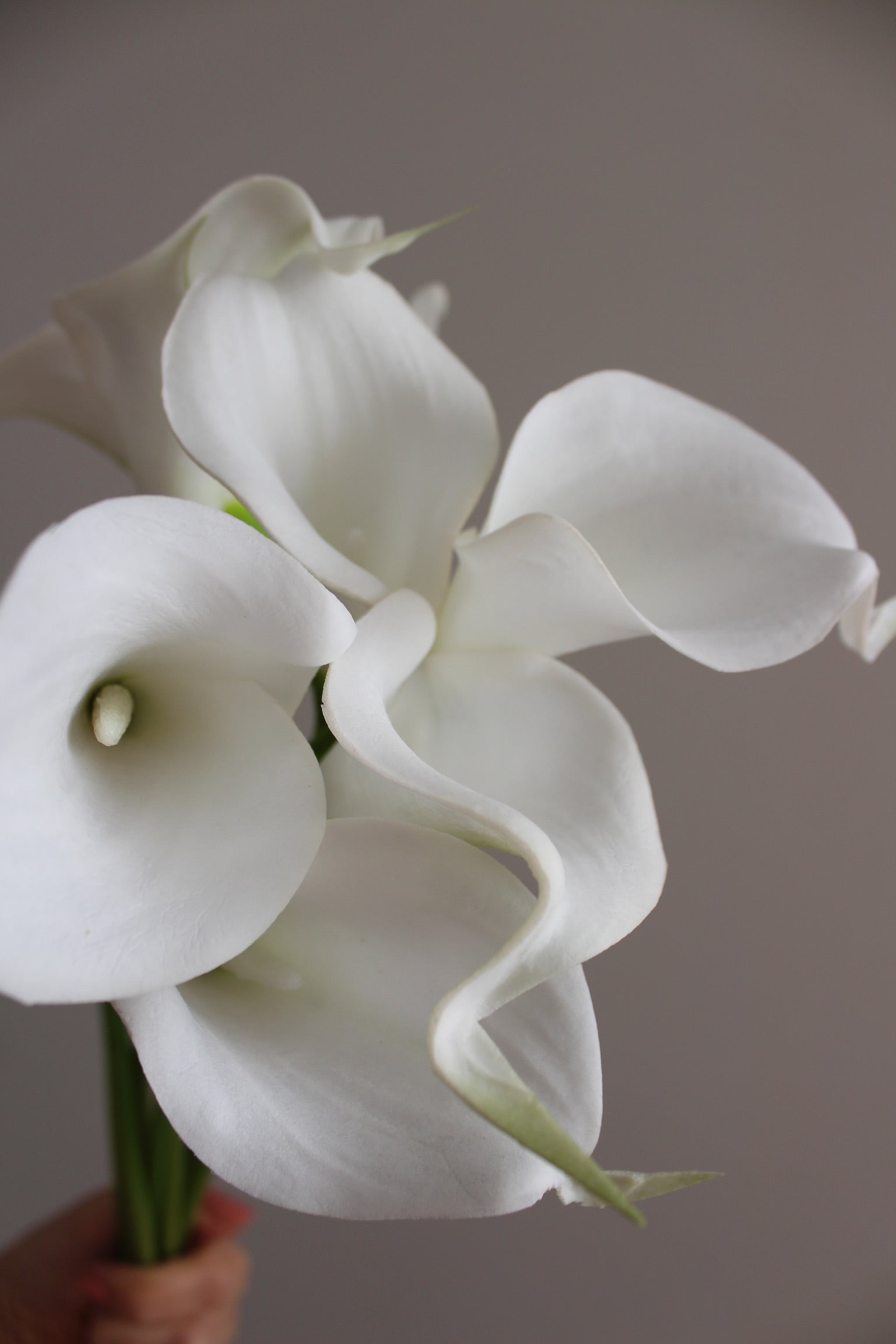 Ramo de Calla Lily Blanco - 36 cm