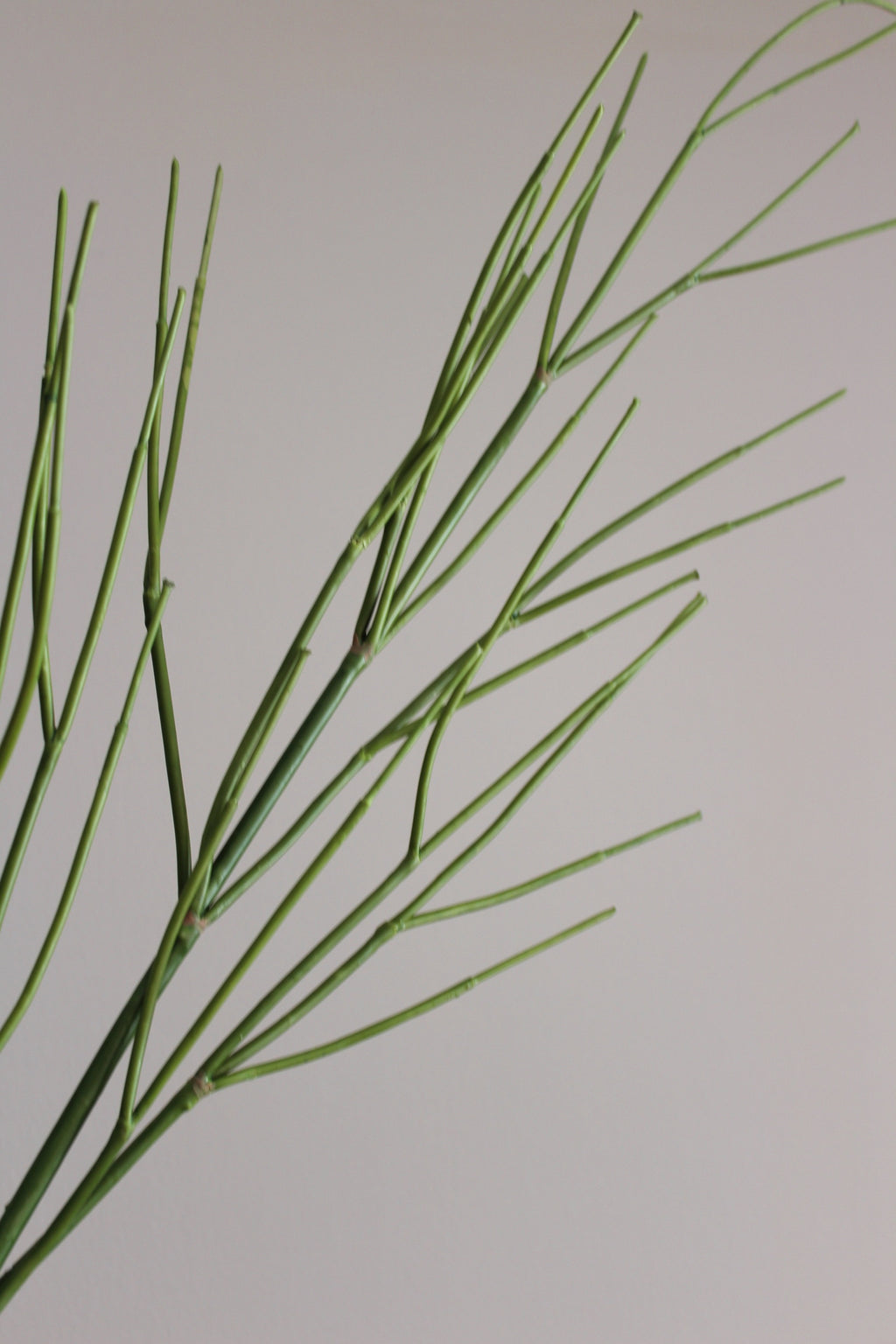 Twig Branch - 110 cm