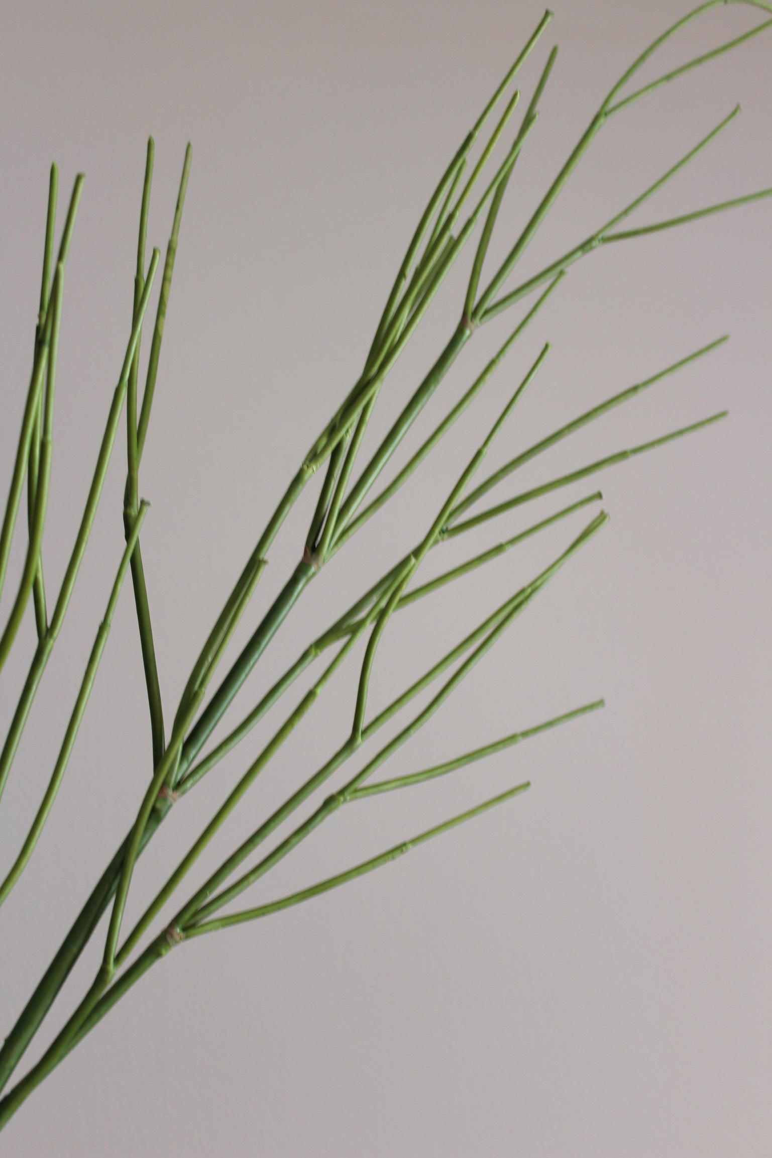 Twig Branch - 110 cm
