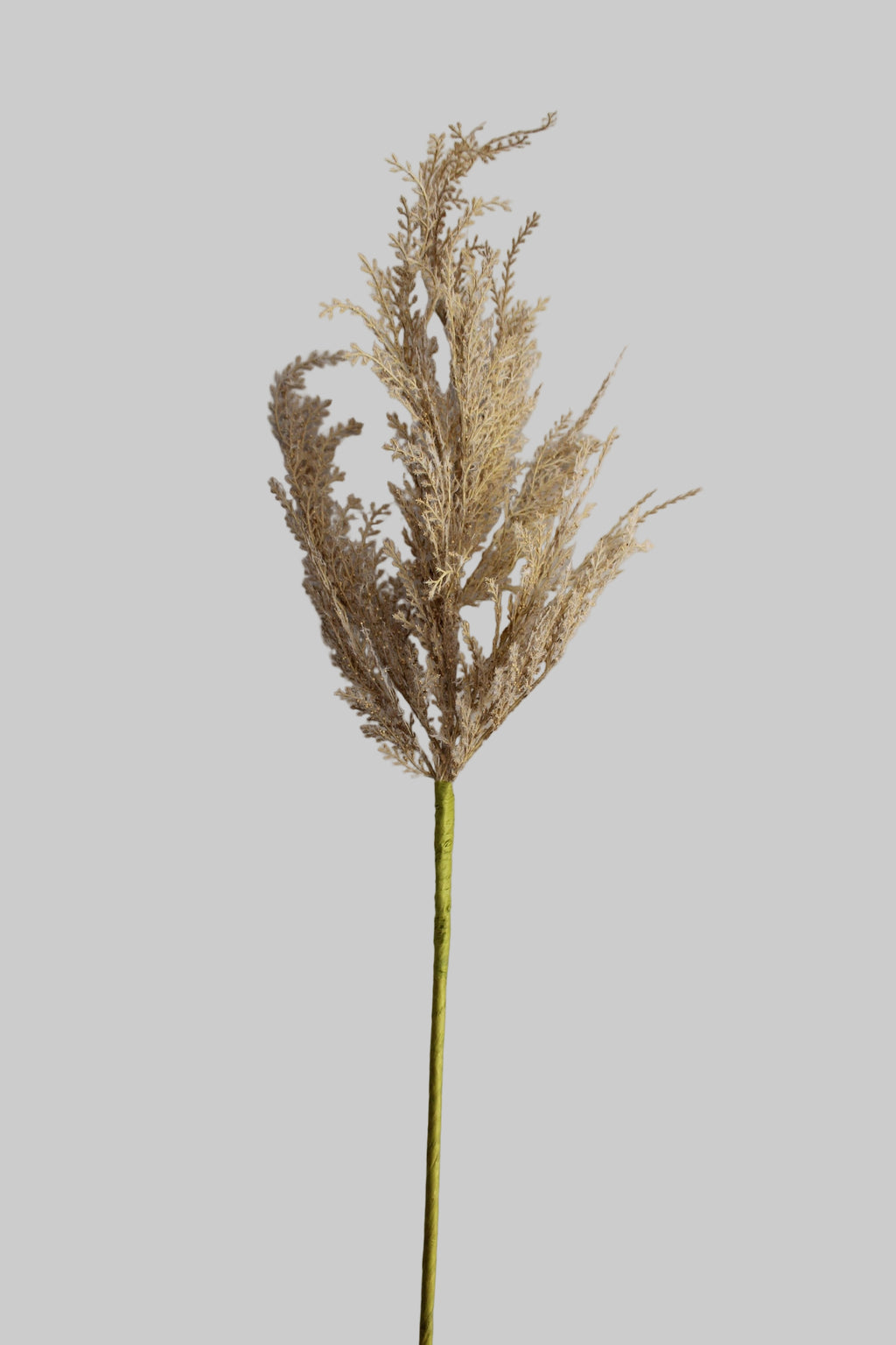 Pampas- 107 cm