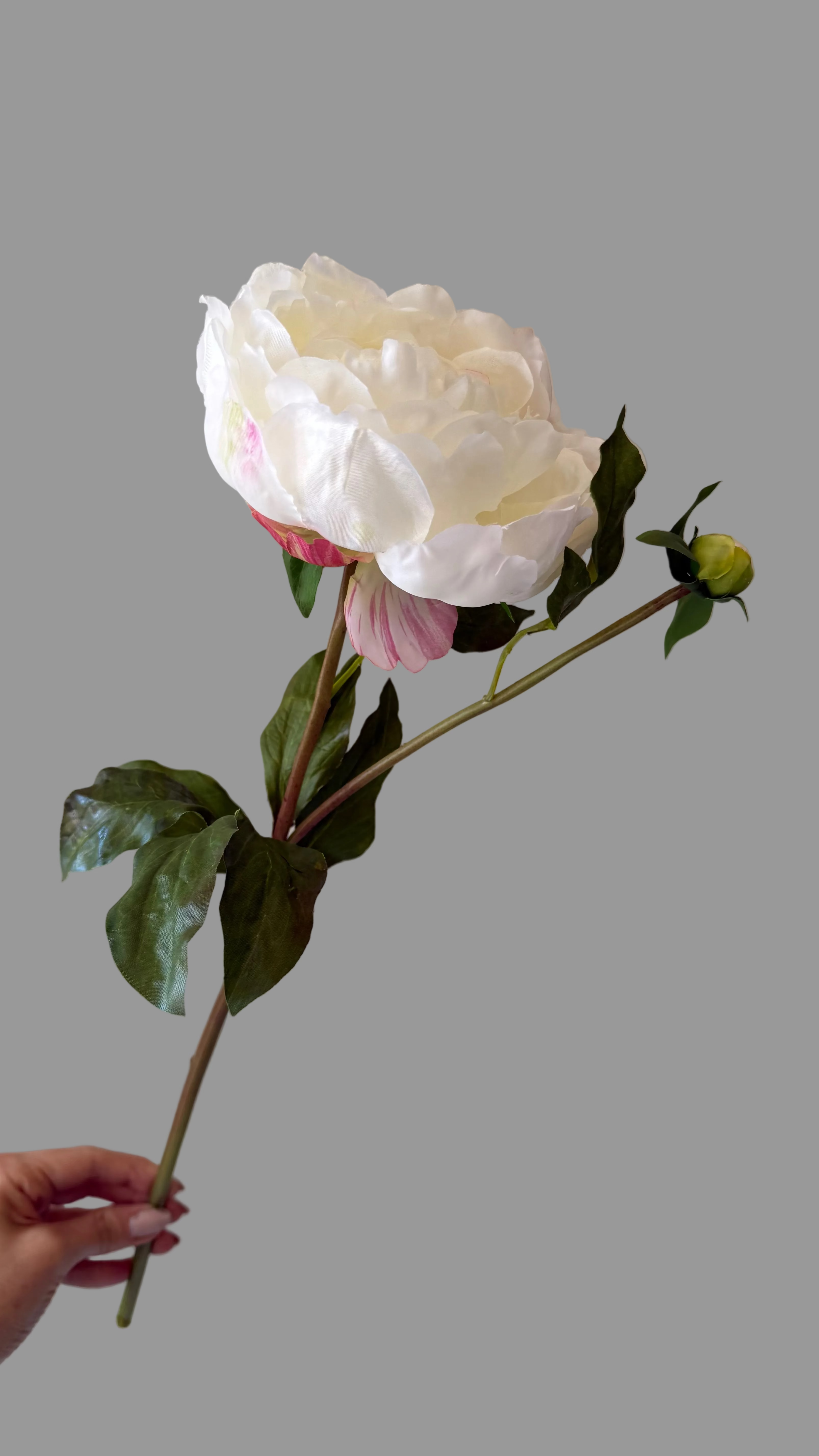 Caja con 6 Peonias Artificiales Premium color blanco