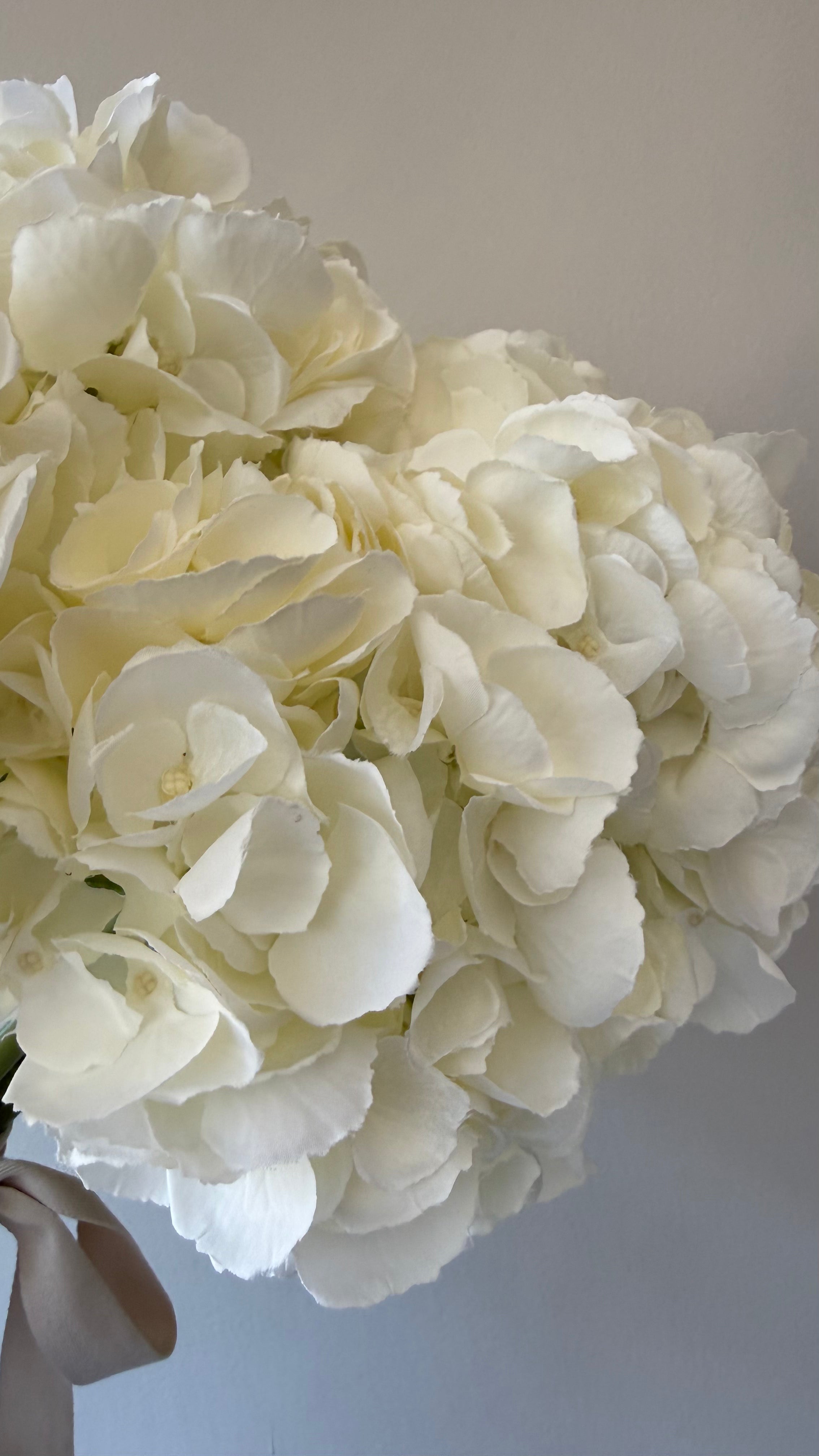 Caja con 6 Hortensias Artificiales Premium color blanco