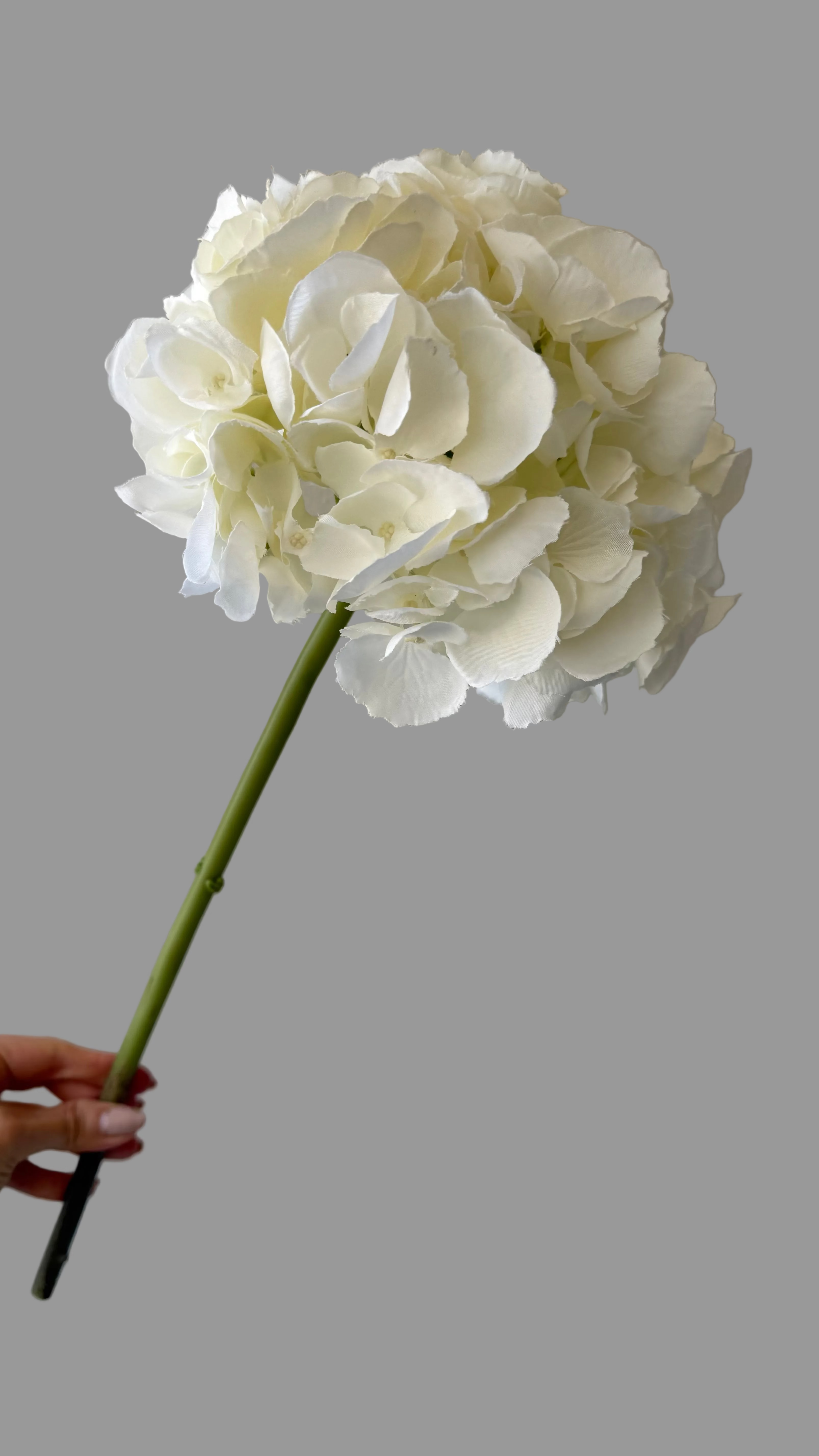 Caja con 6 Hortensias Artificiales Premium color blanco