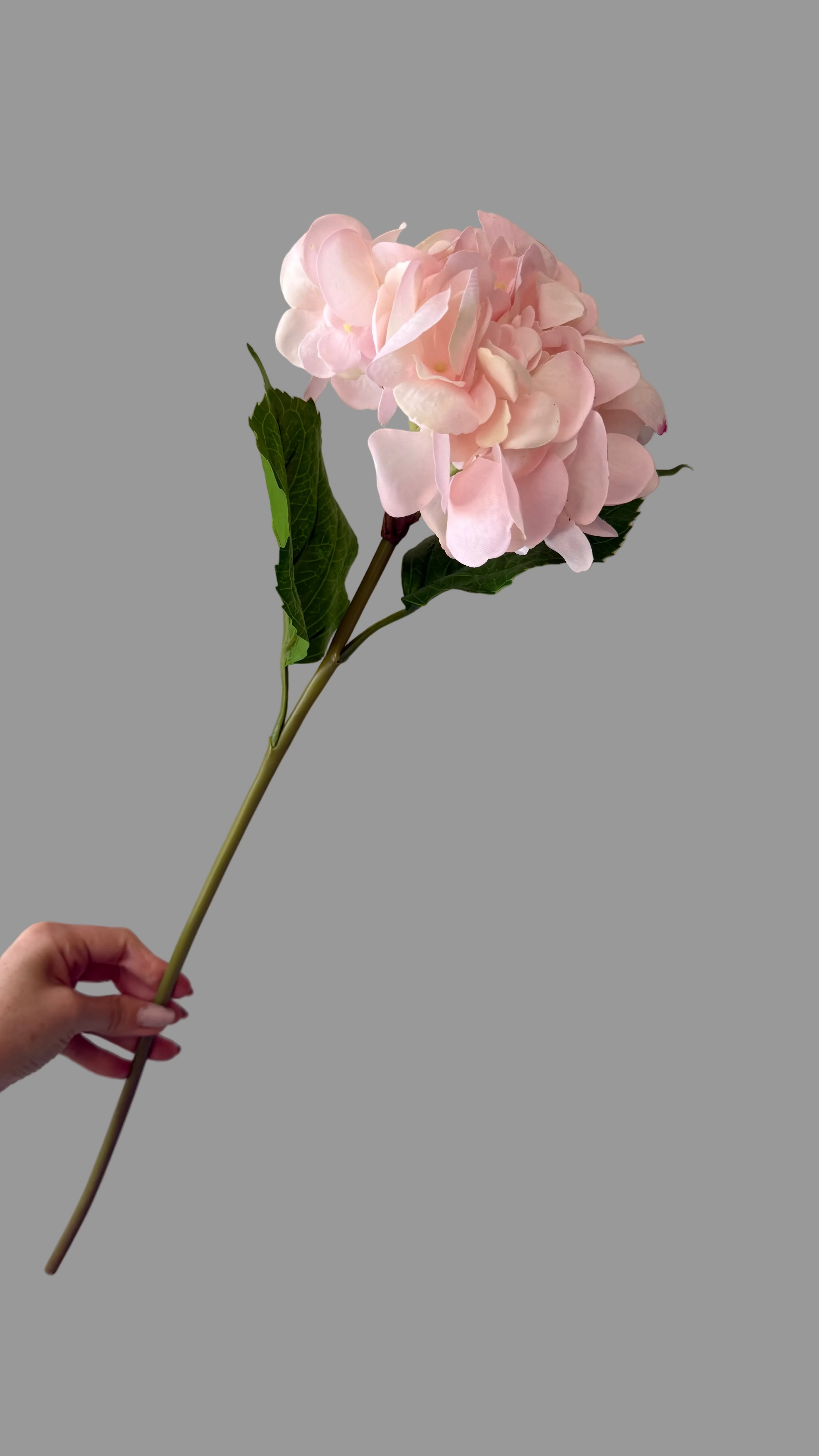 Caja de 6 Hortensias Artificiales Natural Touch rosa