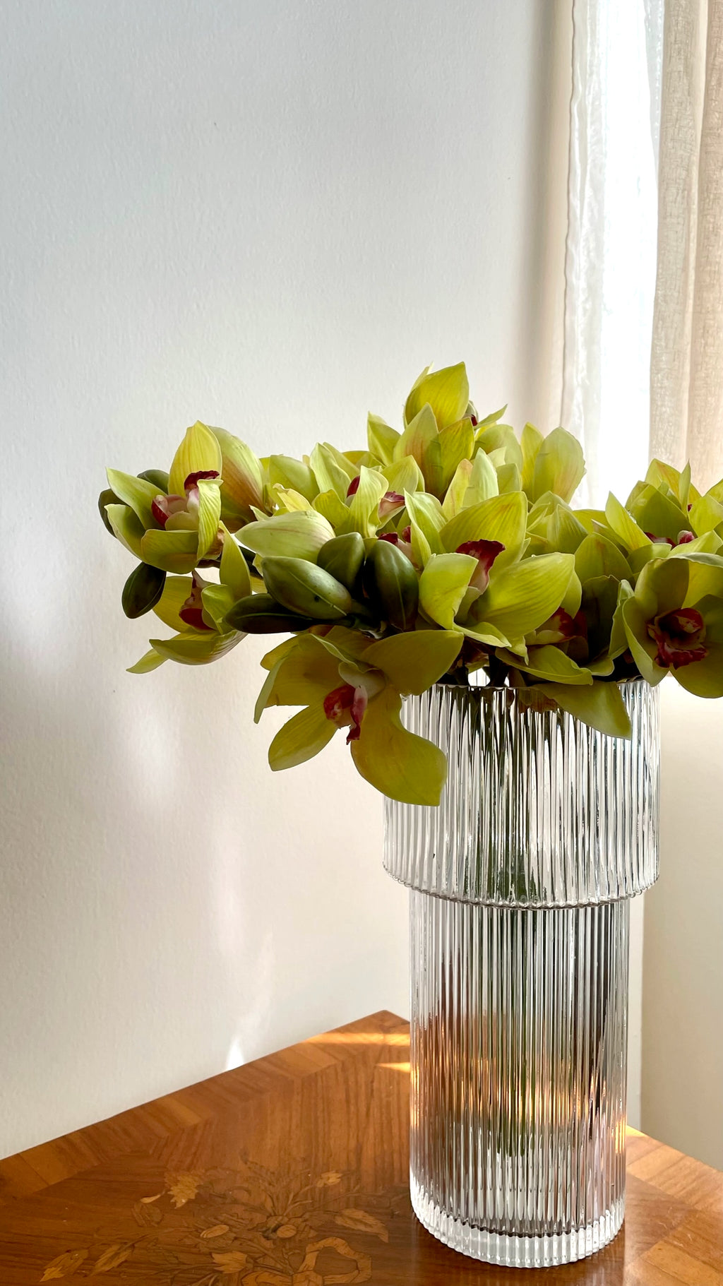 Orquidea Cymbidium Premium Verde - 48 cm
