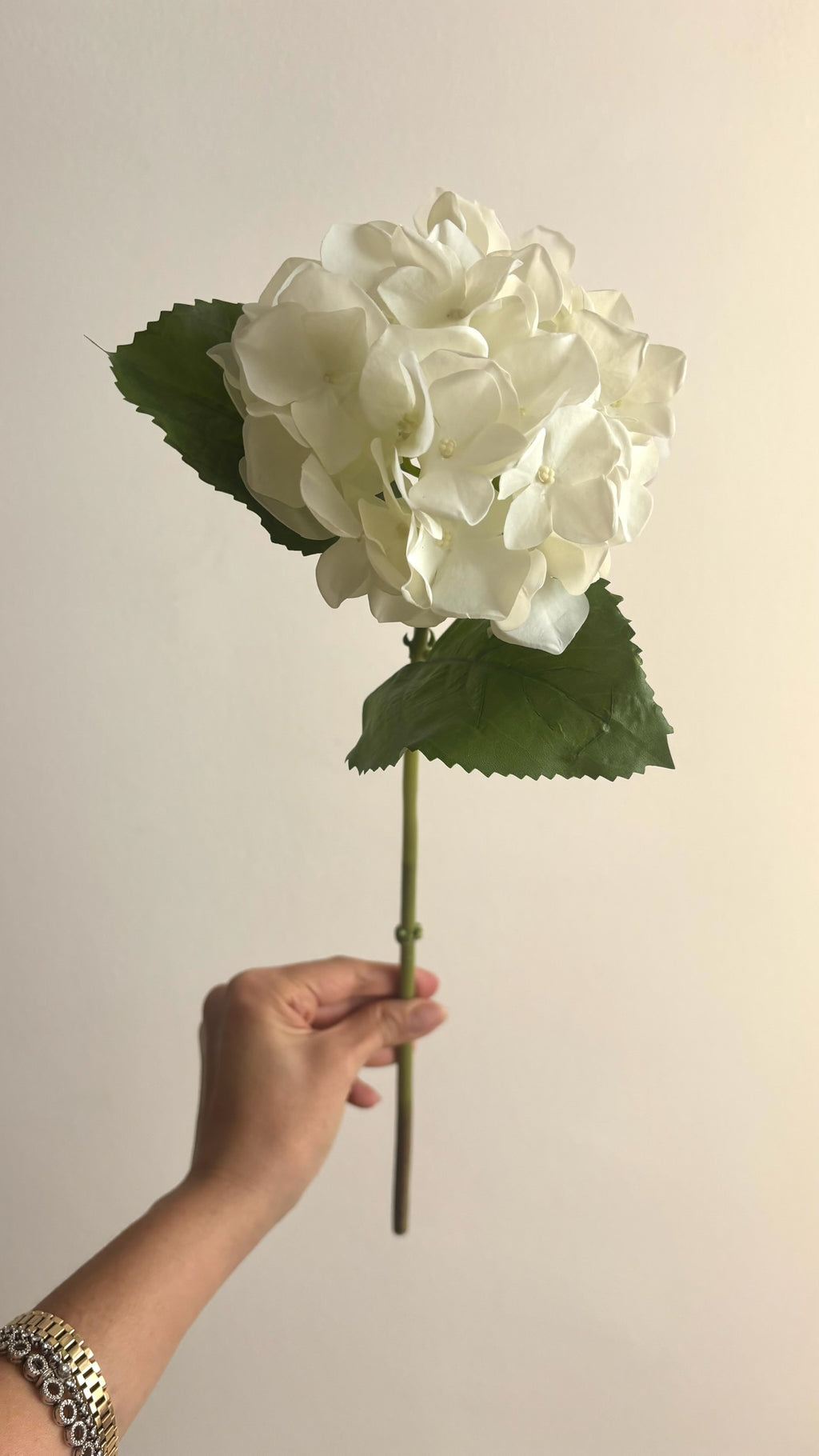 Hortensia Fresh con Hoja  Blanca - 56 cm