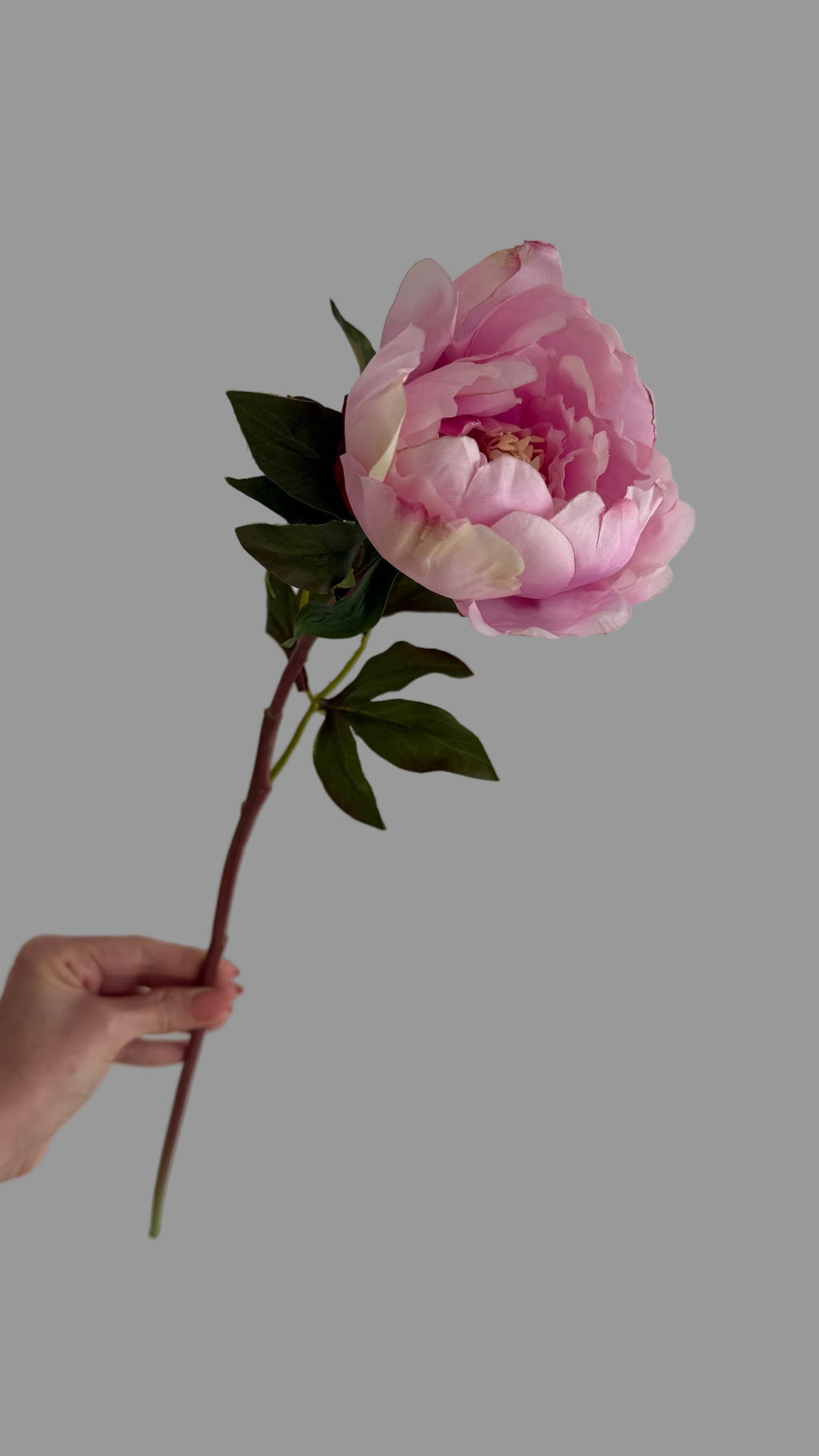 Peonia Premium Rosa - 50 cm