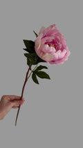 Peonia Premium Rosa - 50 cm