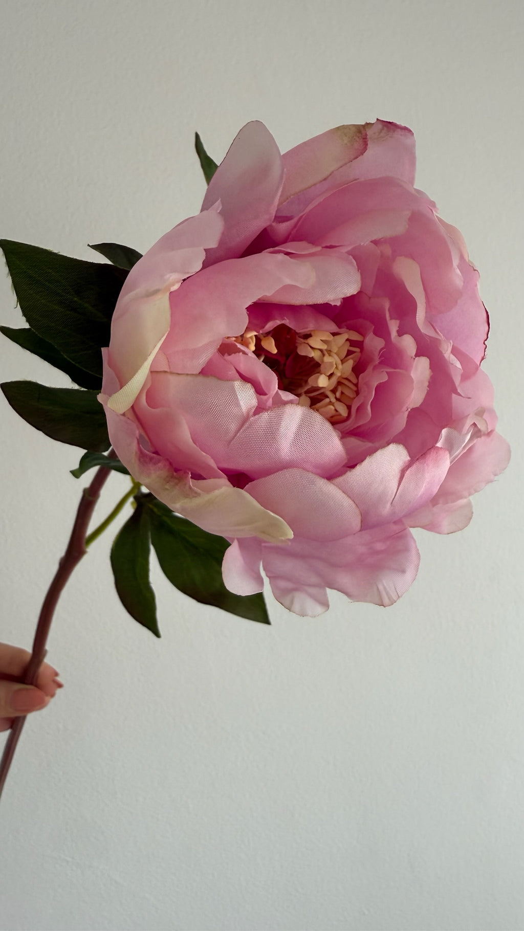 Peonia Premium Rosa - 50 cm