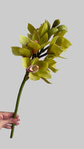 Orquidea Cymbidium Premium Verde - 48 cm