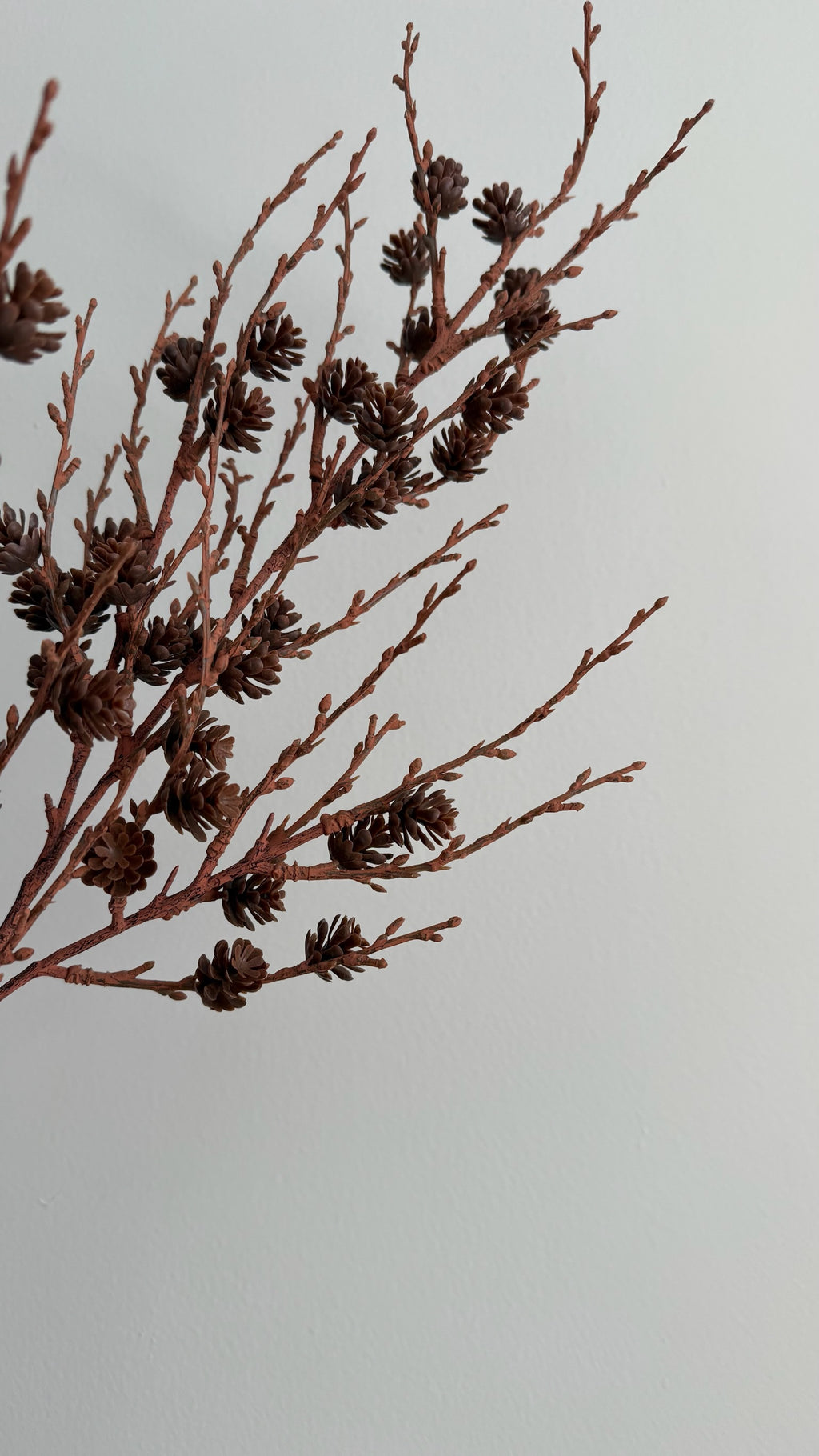 Pinecone Branch - 89 cm