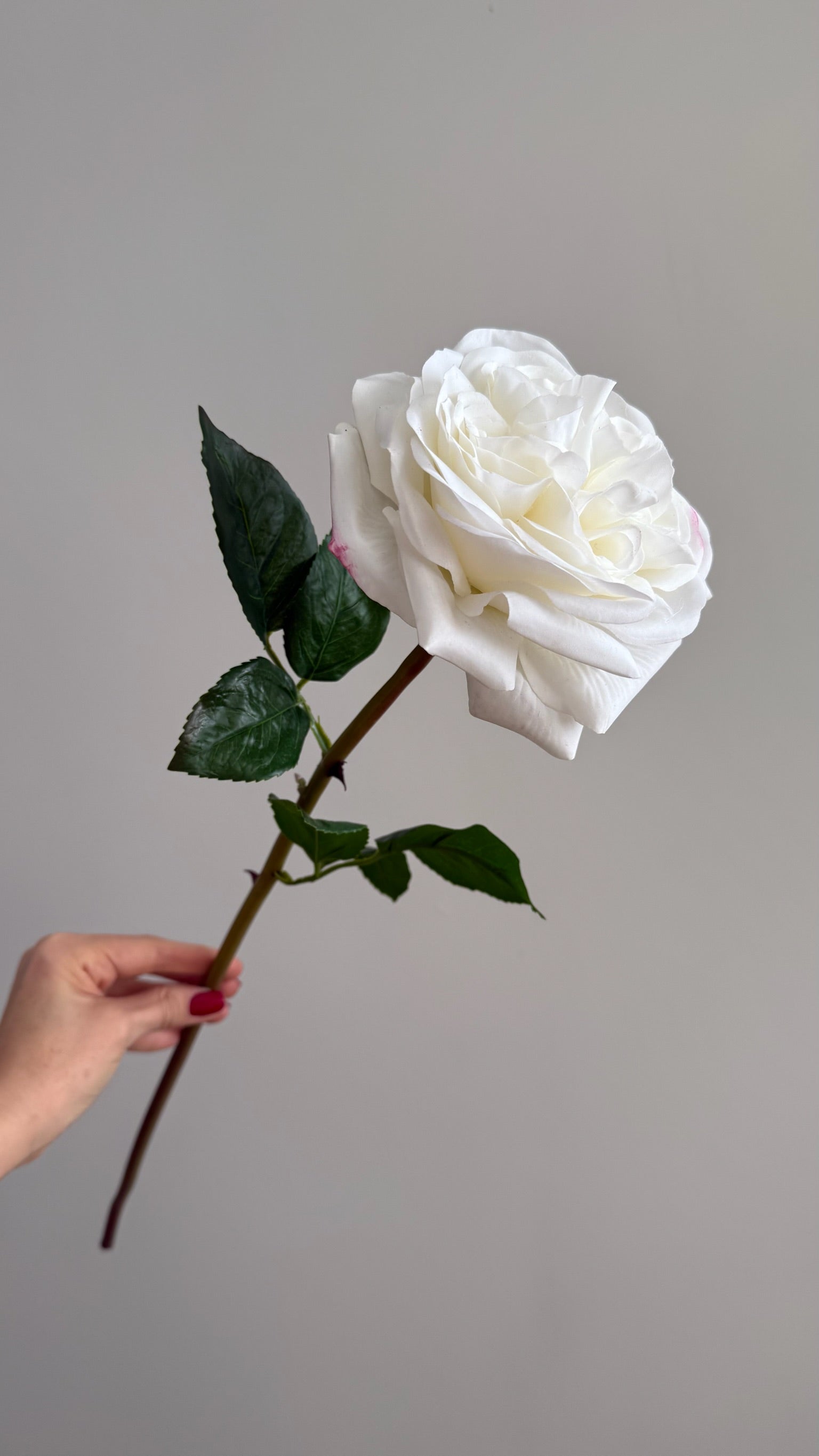 Rosa Full Open Real Touch Blanca - 61 cm