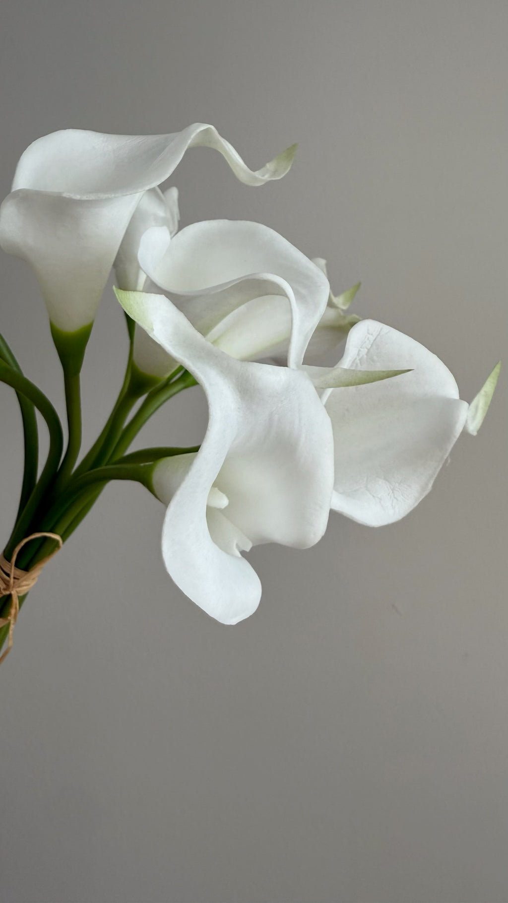 Ramo de Calla Lily Blanco - 36 cm