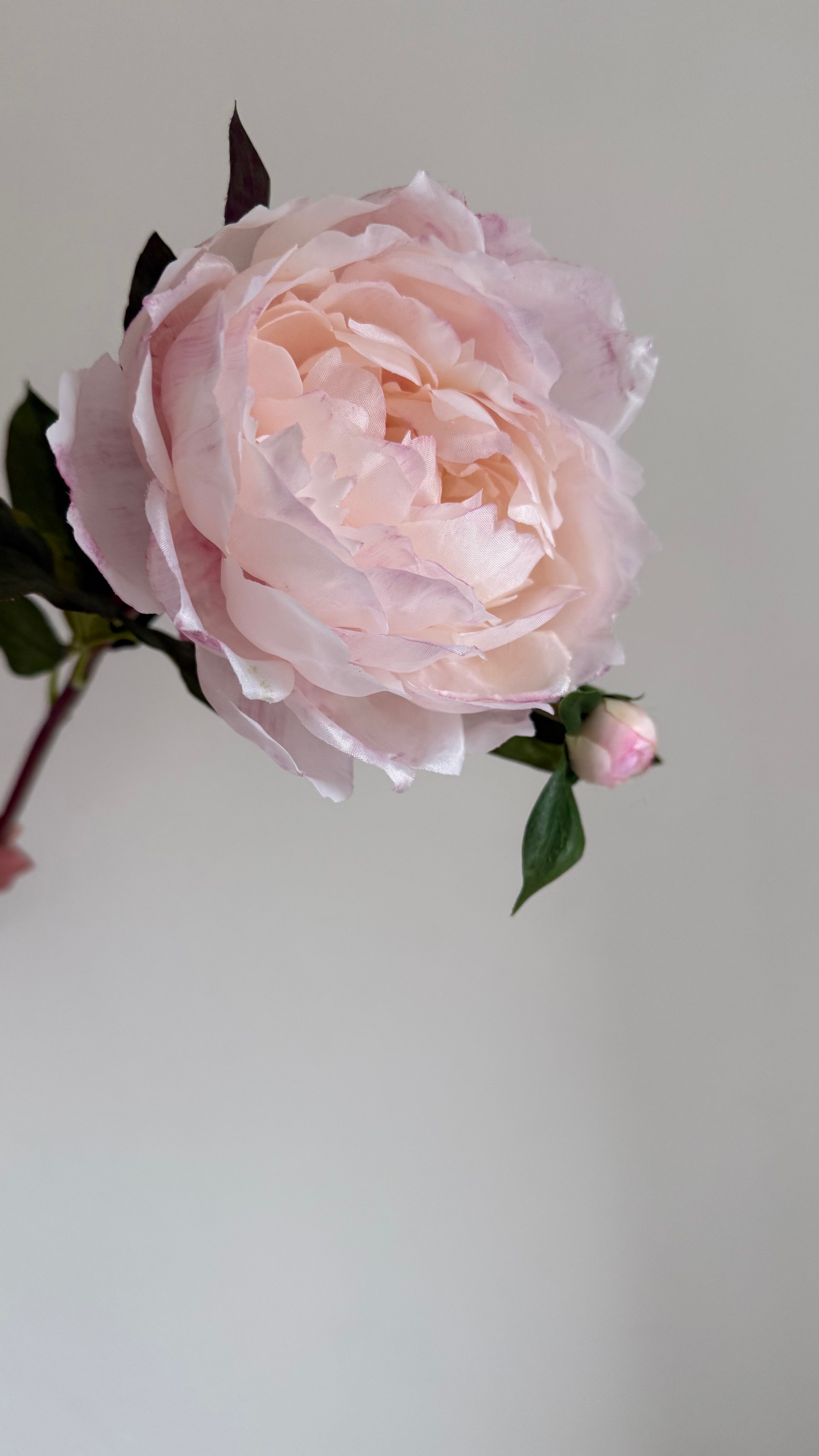 Peonia Premium Rosa claro con Botón - 48 cm