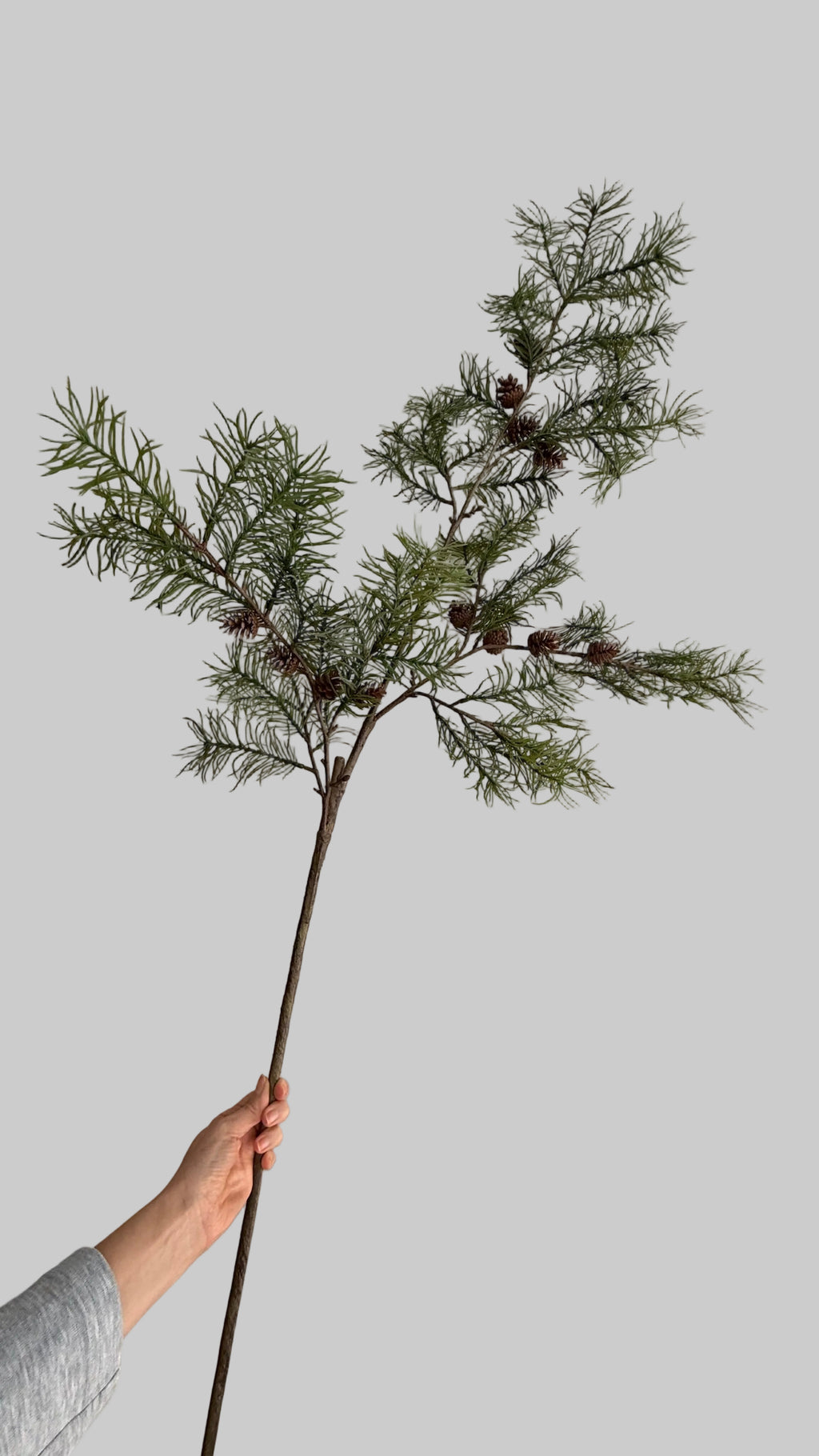 Vara de Alerce con piñas - 120cm