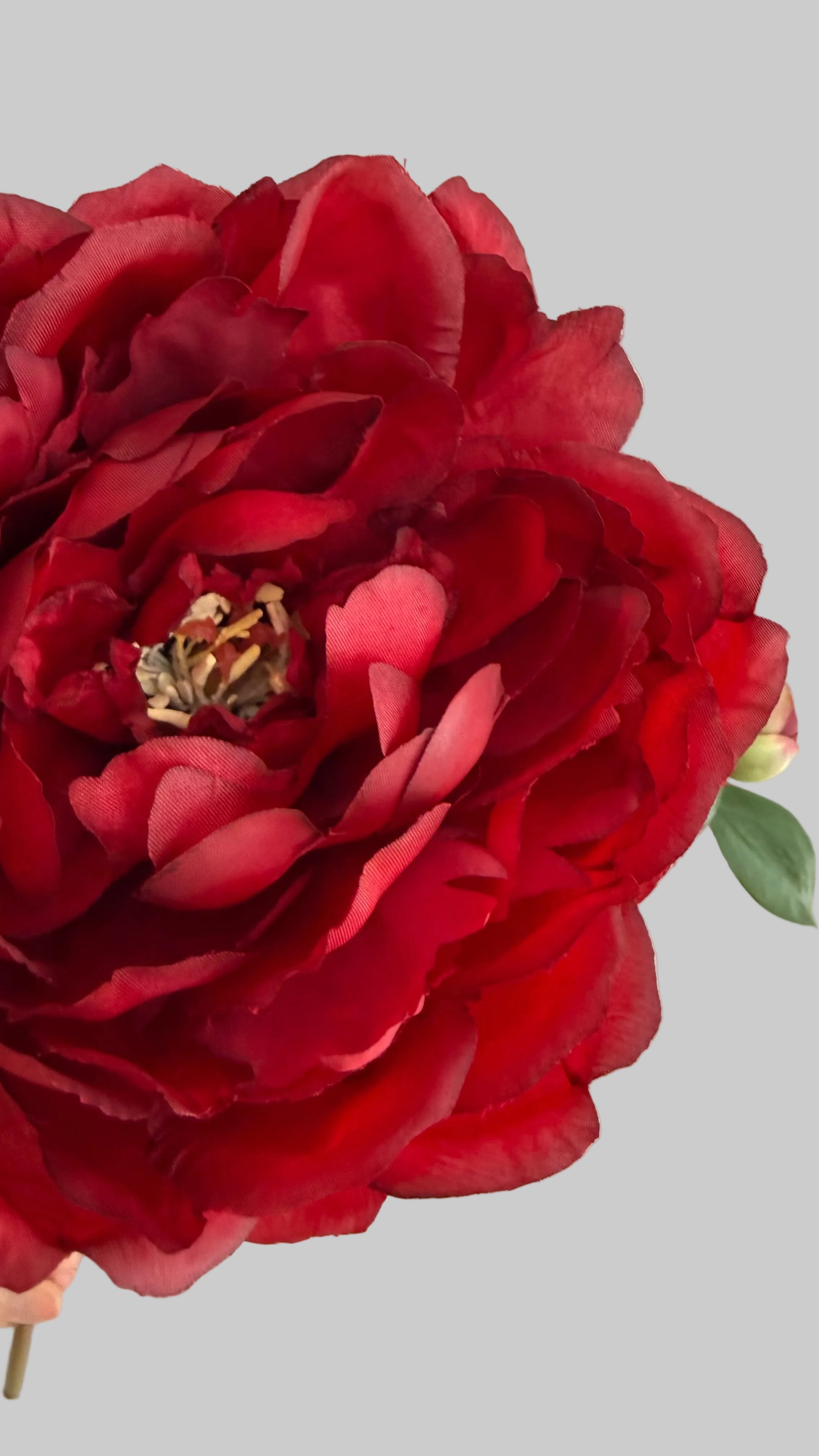 Peonia Premium Roja con botón - 48cm