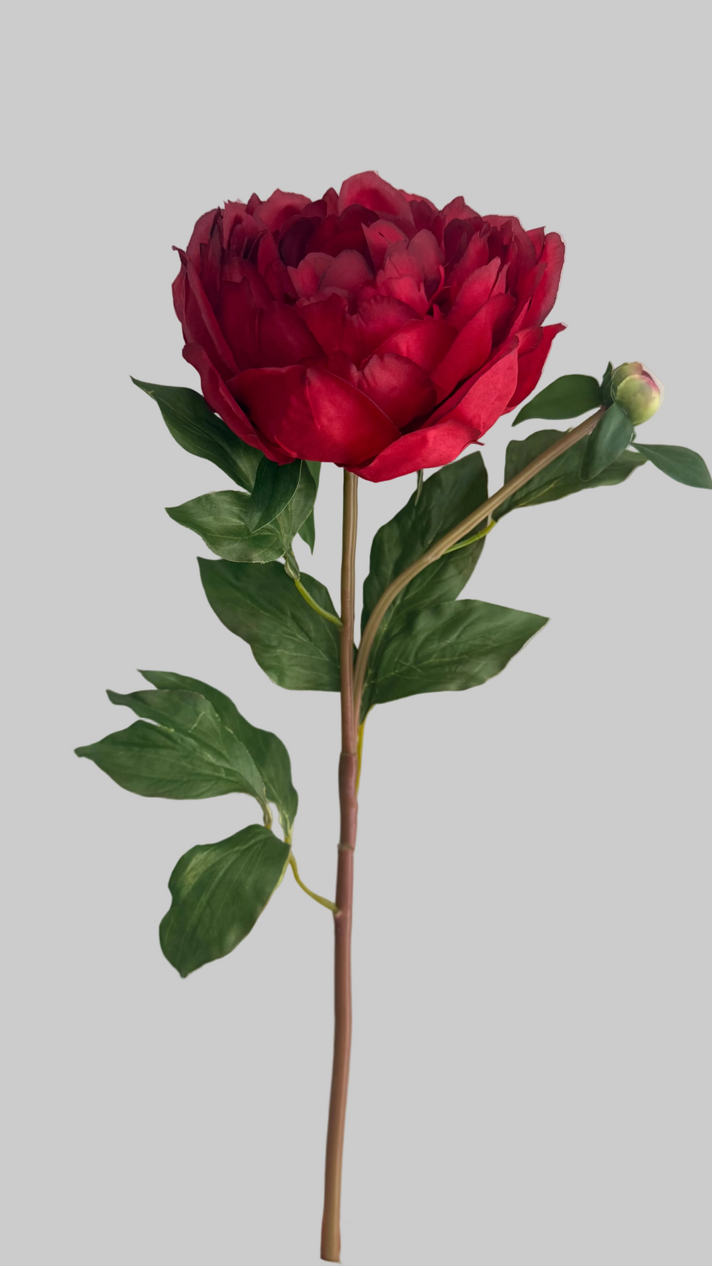 Peonia Premium Roja con botón - 48cm