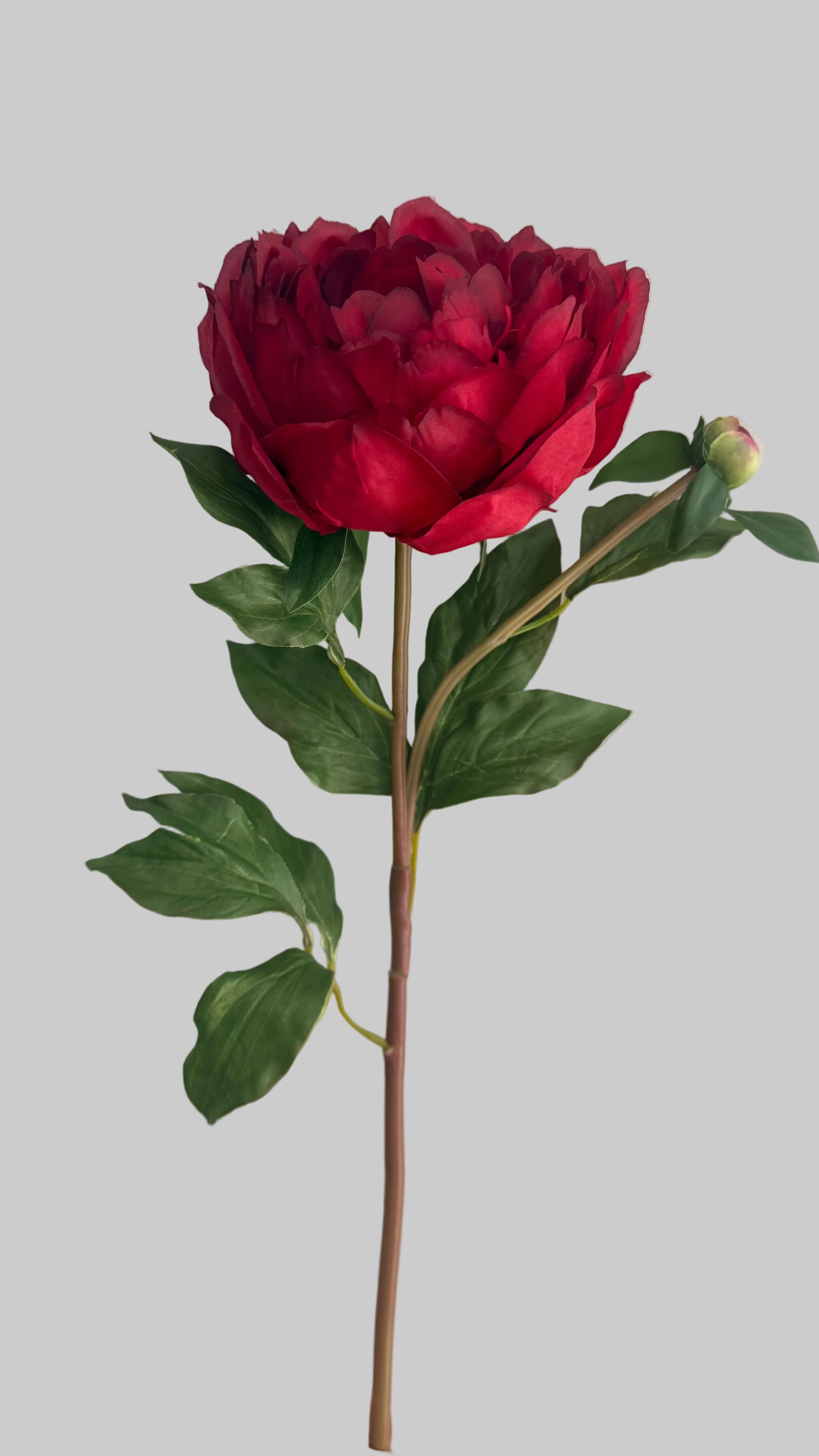 Peonia Premium Roja con botón - 48cm