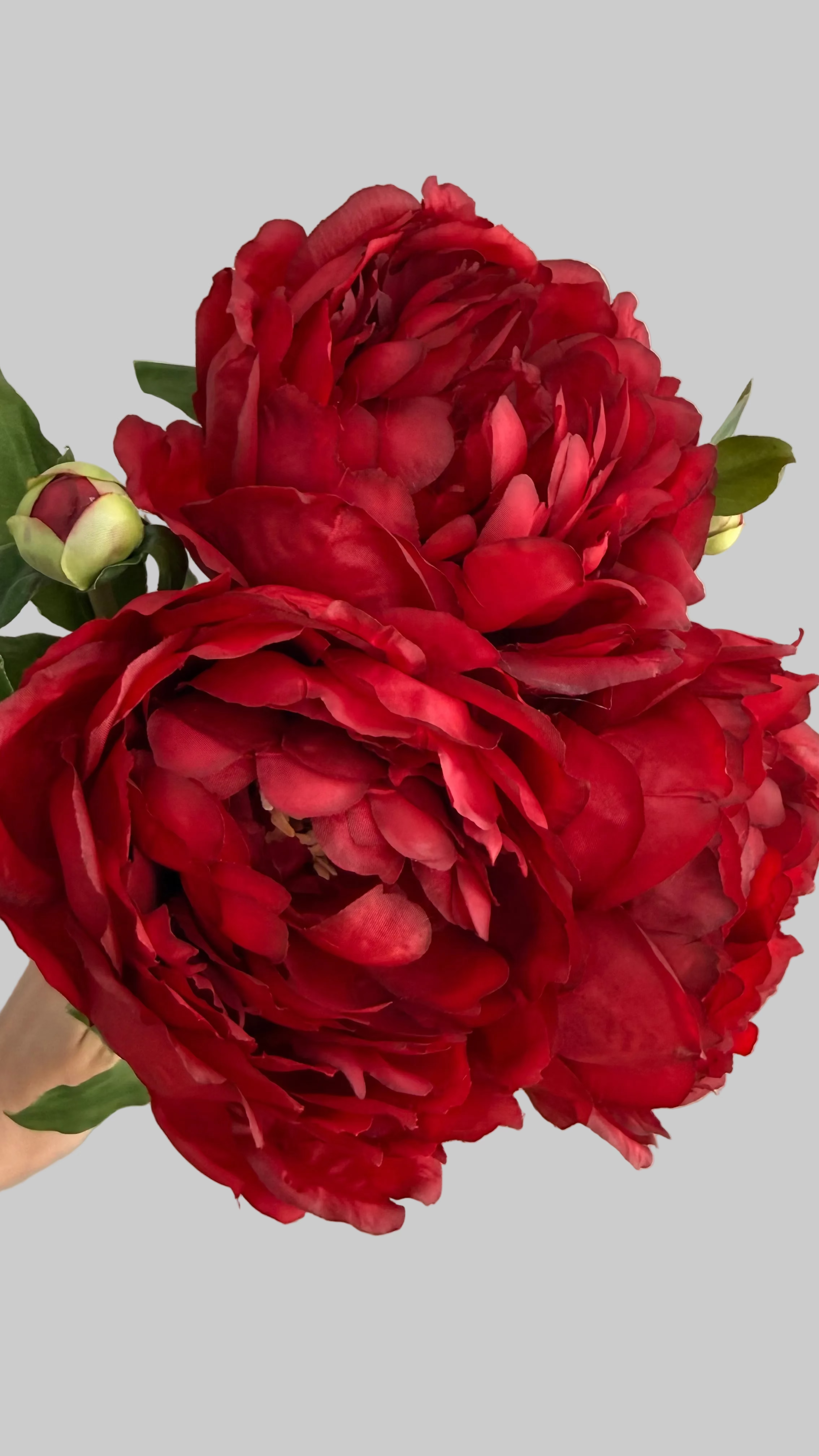 Peonia Premium Roja con botón - 48cm