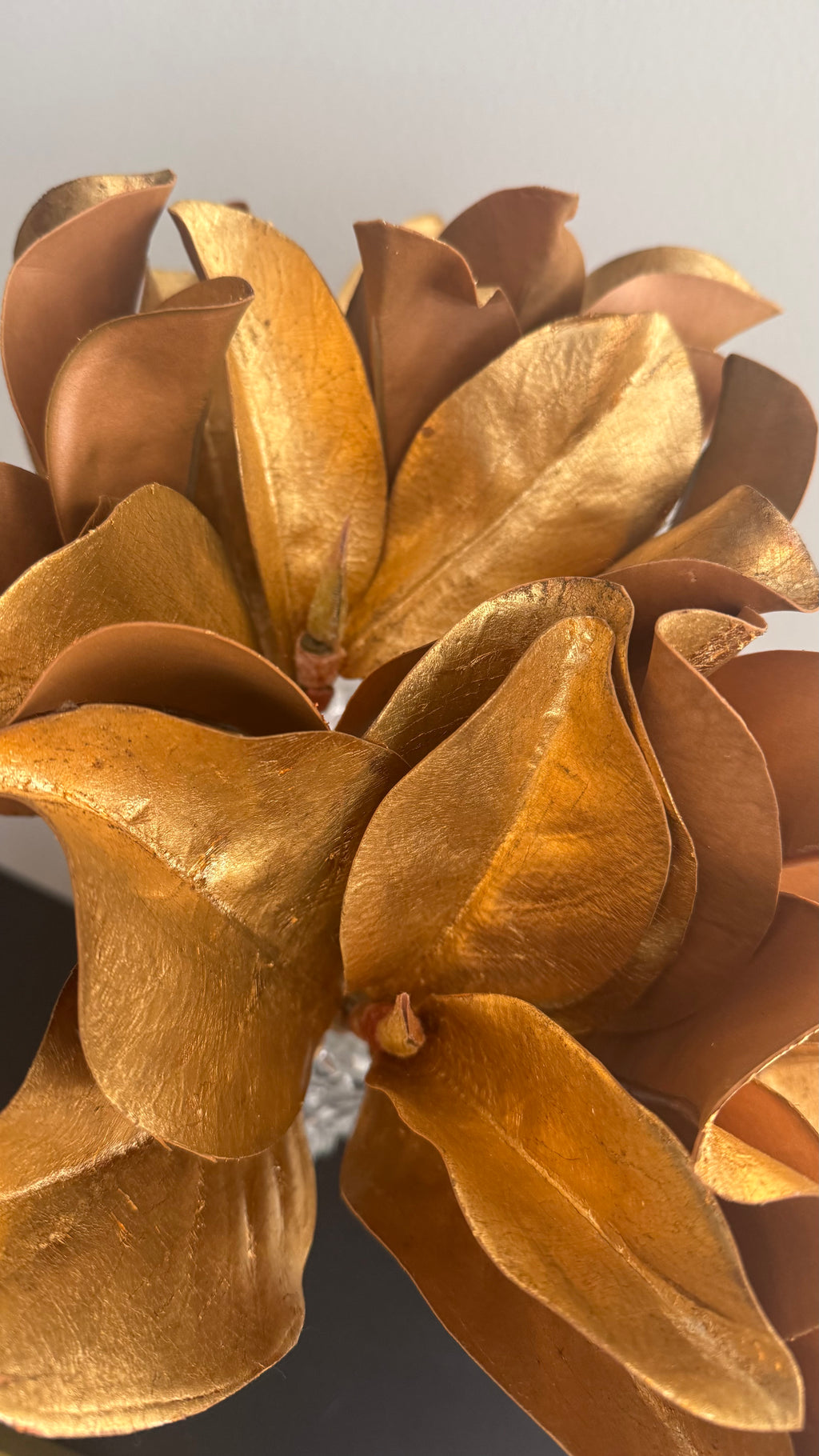 Hoja de Magnolia dorada - 35cm