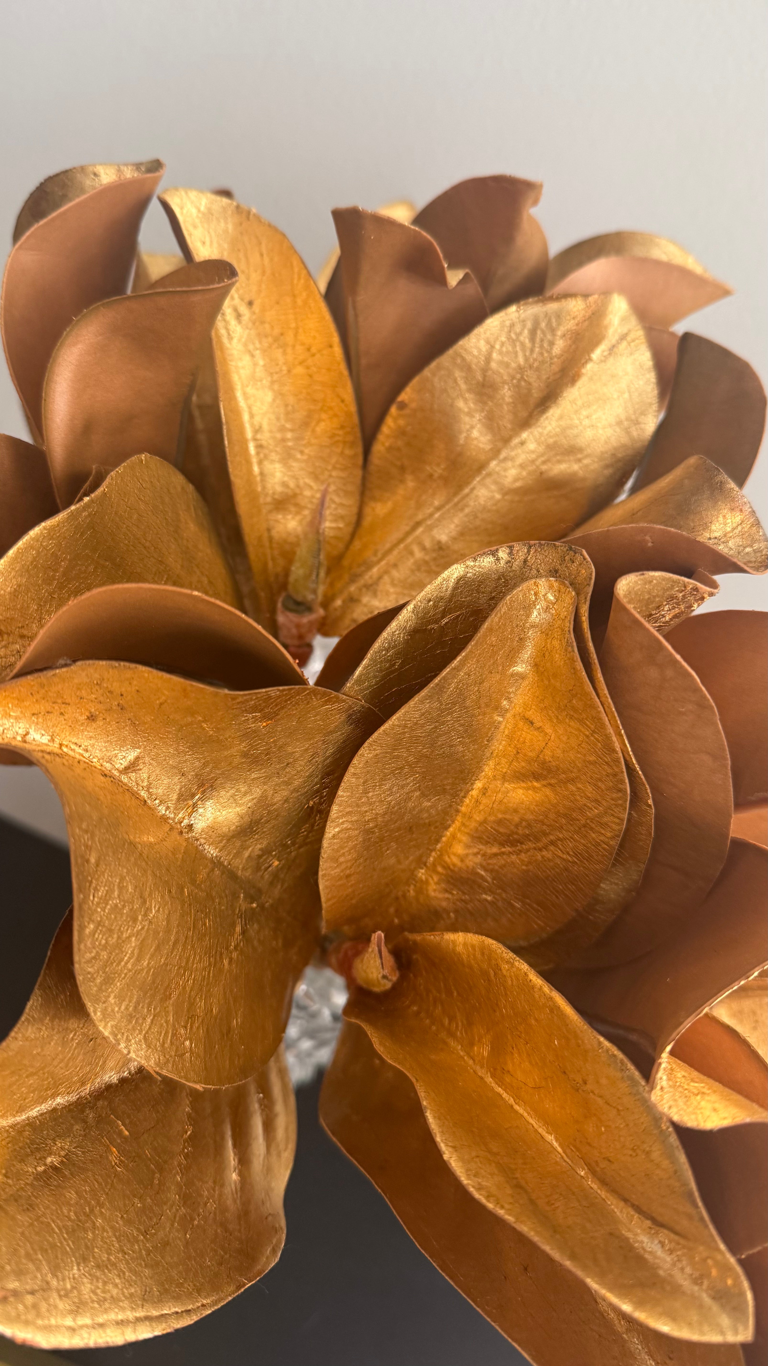 Hoja de Magnolia dorada - 35cm