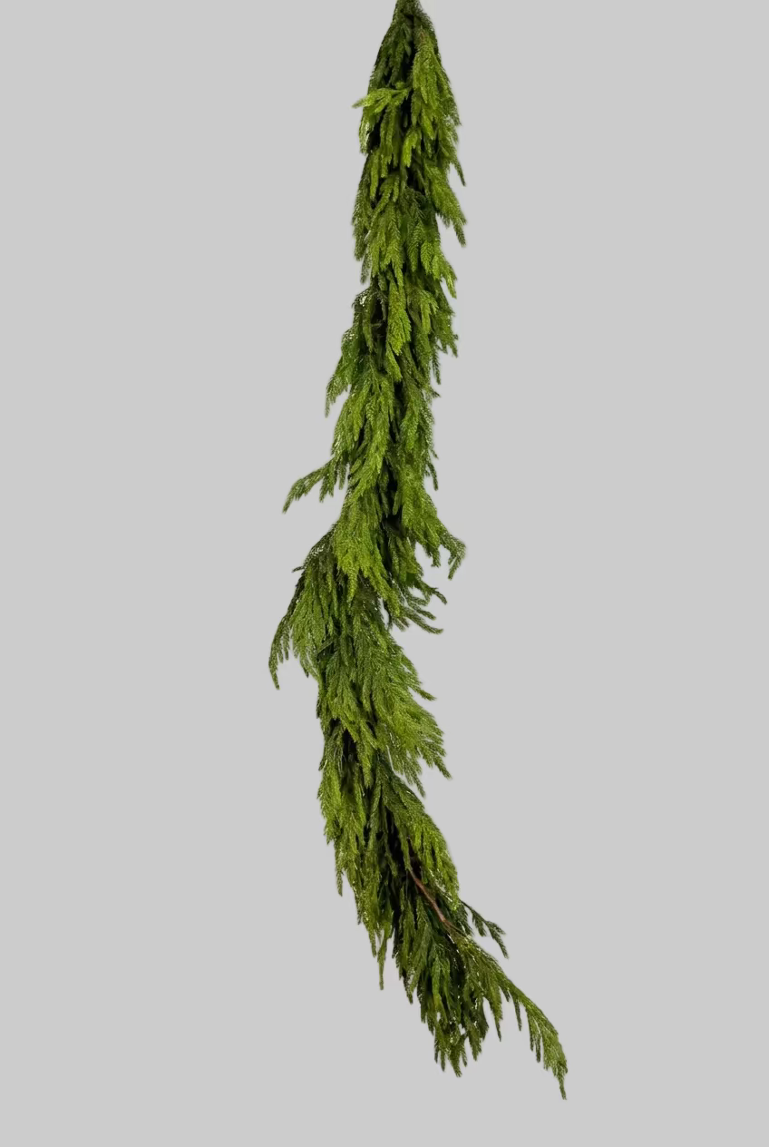 Guirnalda Norfolk - 1.85m