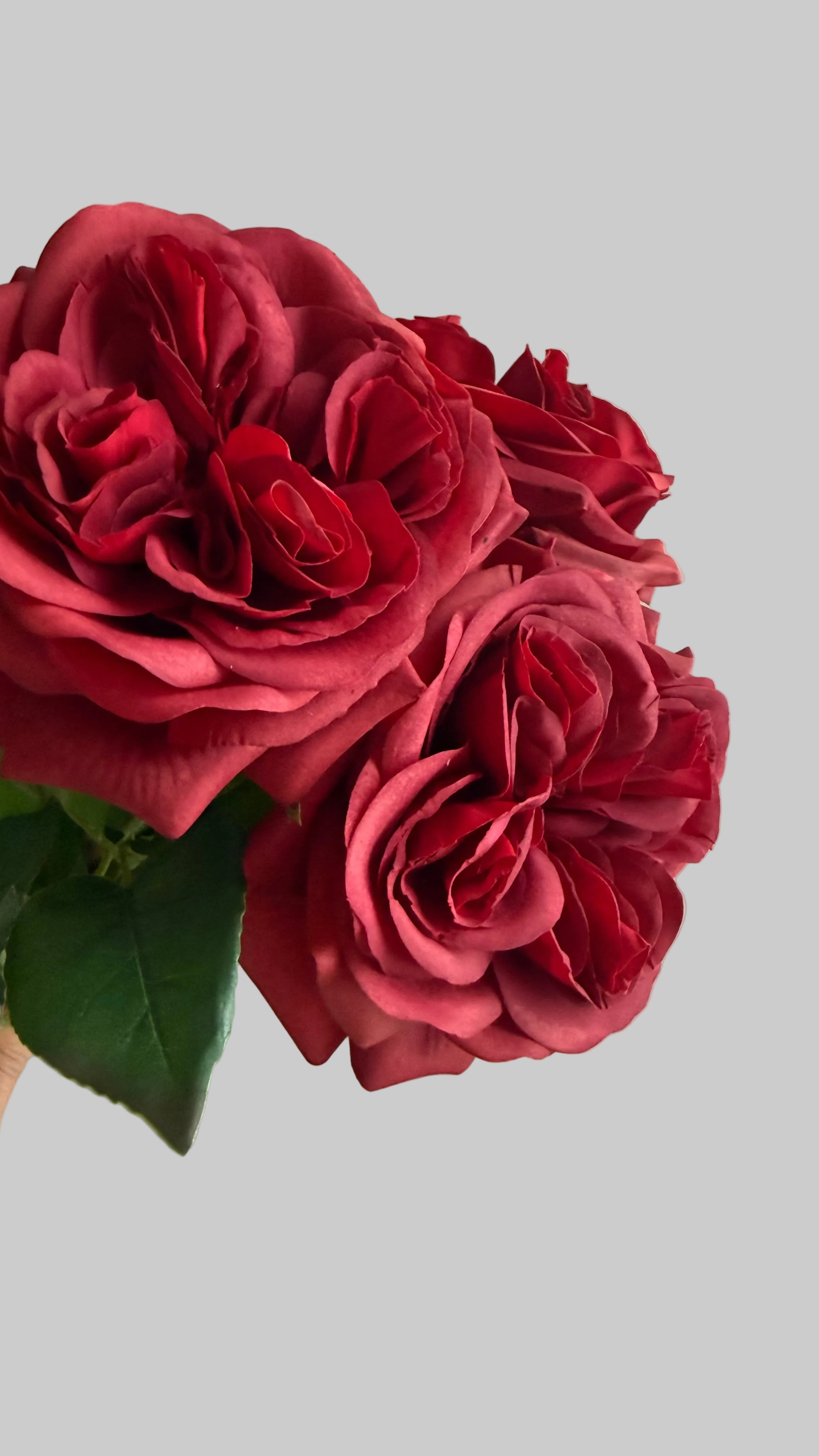 Rosa Natural Touch roja - 60cm