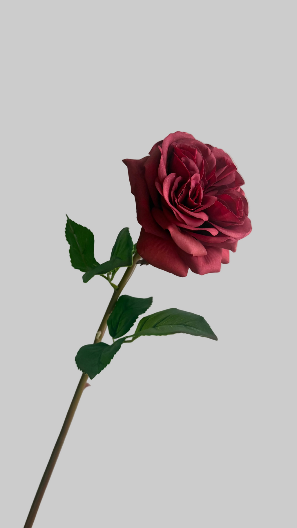 Rosa Natural Touch roja - 60cm