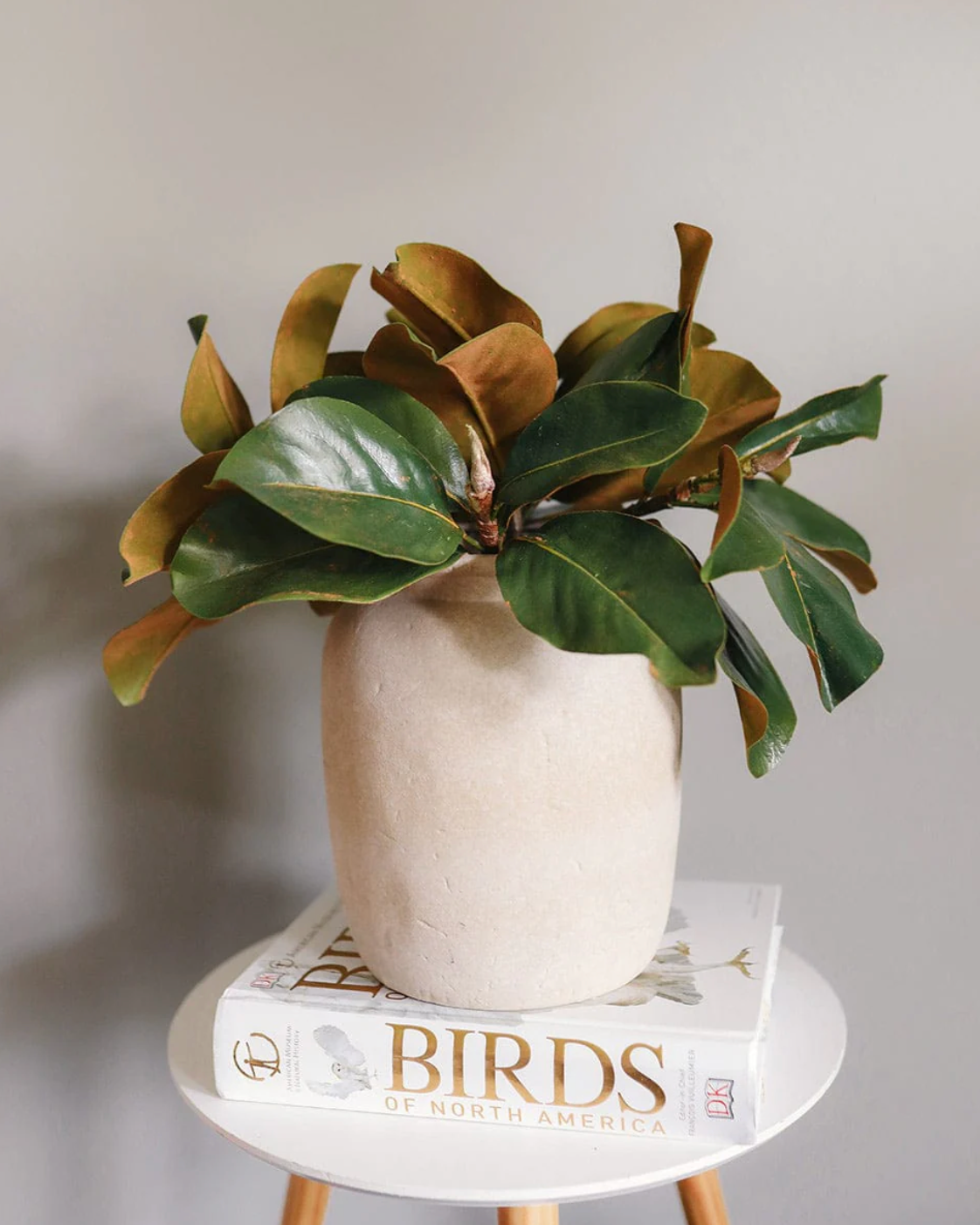 Hoja Magnolia Premium - 36 cm