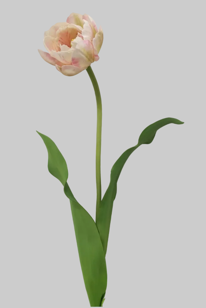 Tulipán Rosa claro full open- 55cm