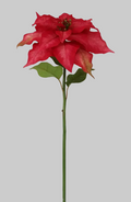 Nochebuena Premium rojo - 60cm