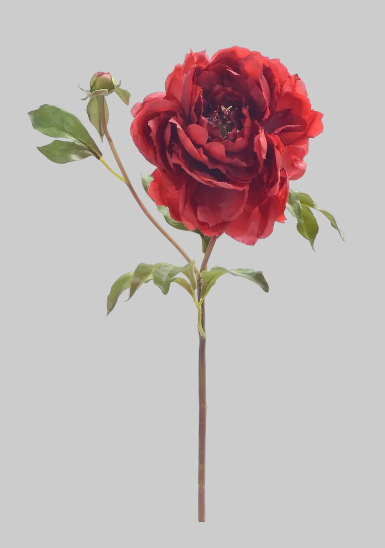 Peonia Premium Roja con botón - 48cm