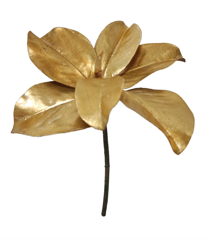 Hoja de Magnolia dorada - 35cm