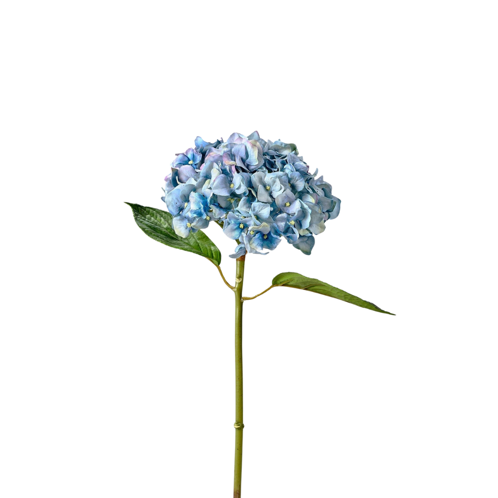 Hortensia Fresh con Hoja Azul  - 56 cm