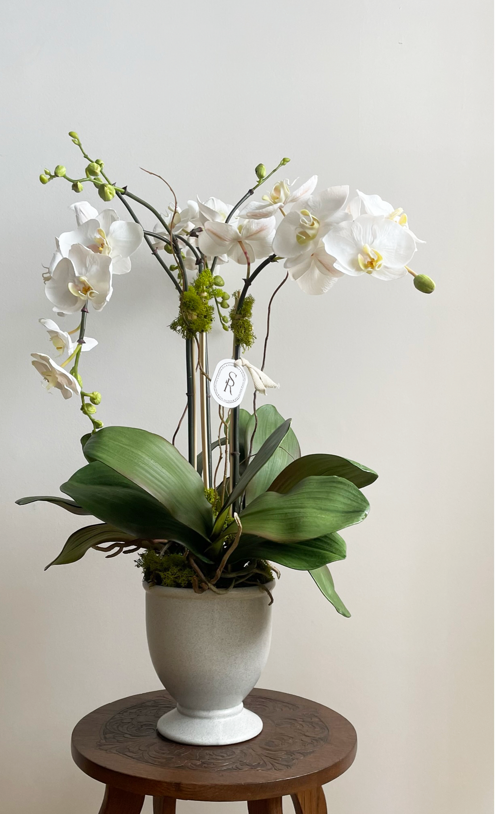 Orquidea Phalaenopsis Premium con Botón Blanca - 85 cm